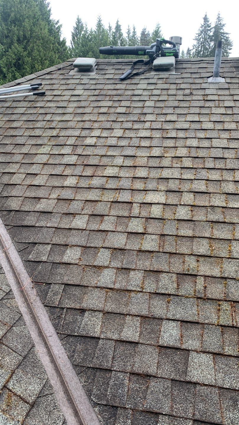 Softwashed in many Years back, and organic regrowth significant by DawnSky LLC