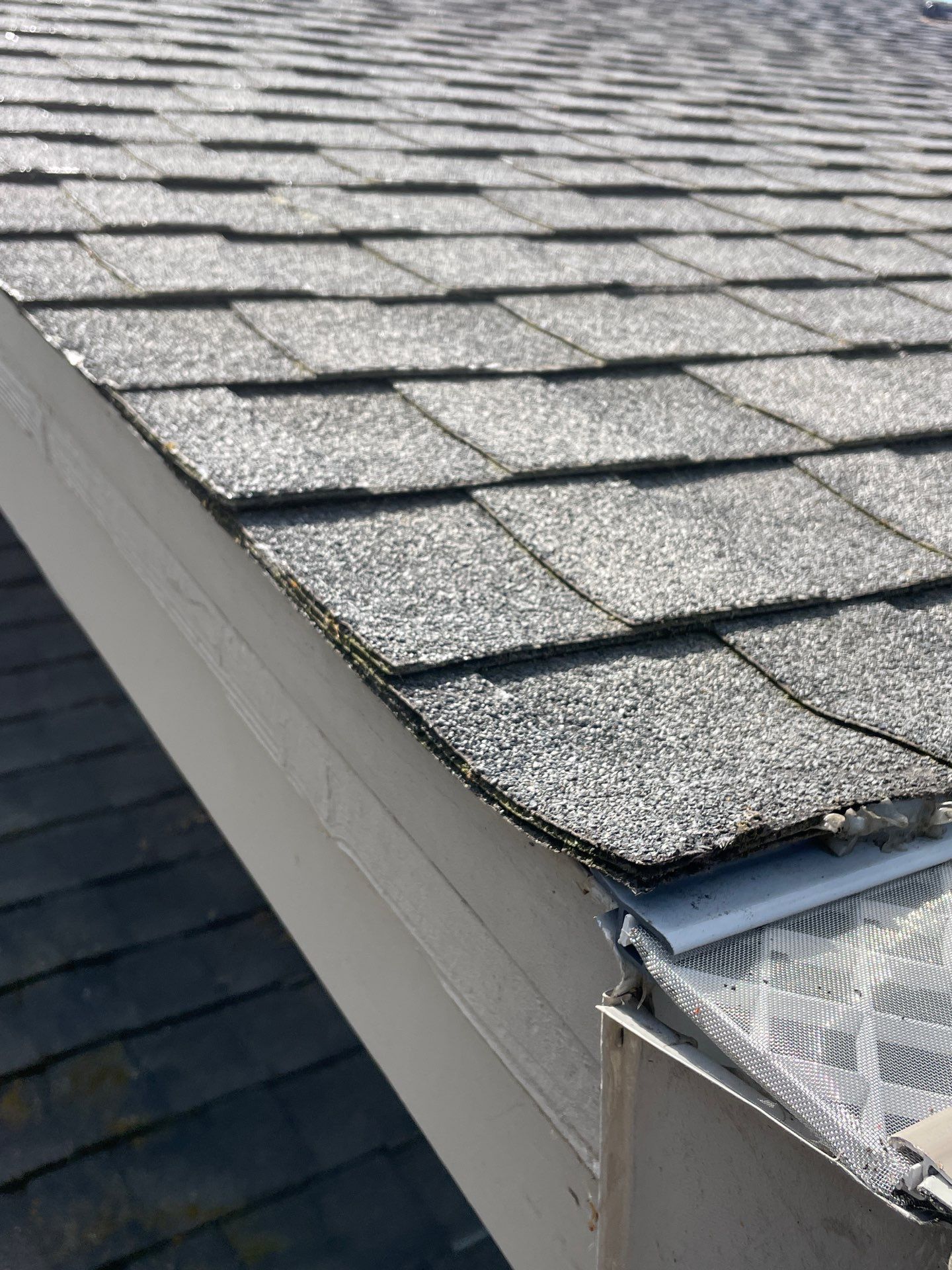 Roof Rejuvenation using Roof Maxx Treatment by Roof Maxx of Folsom