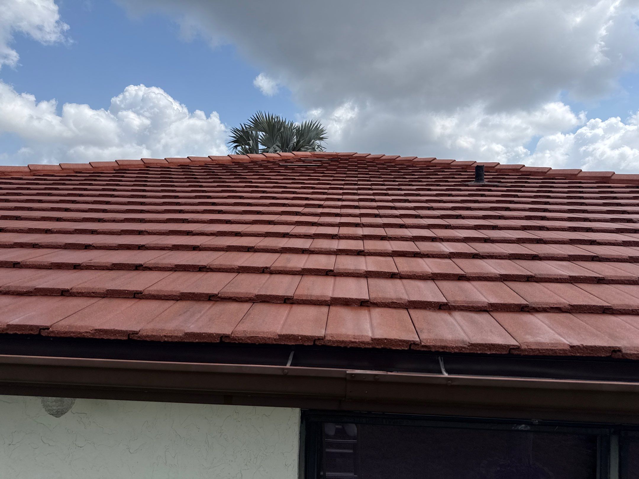 Tile Roof Cleaning – Vivenda at Bradenton I (Same-Day Service & Facebook Review) by Sunshine AquaWash
