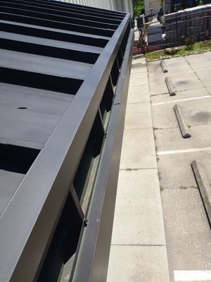 Professional Gutter Cleaning