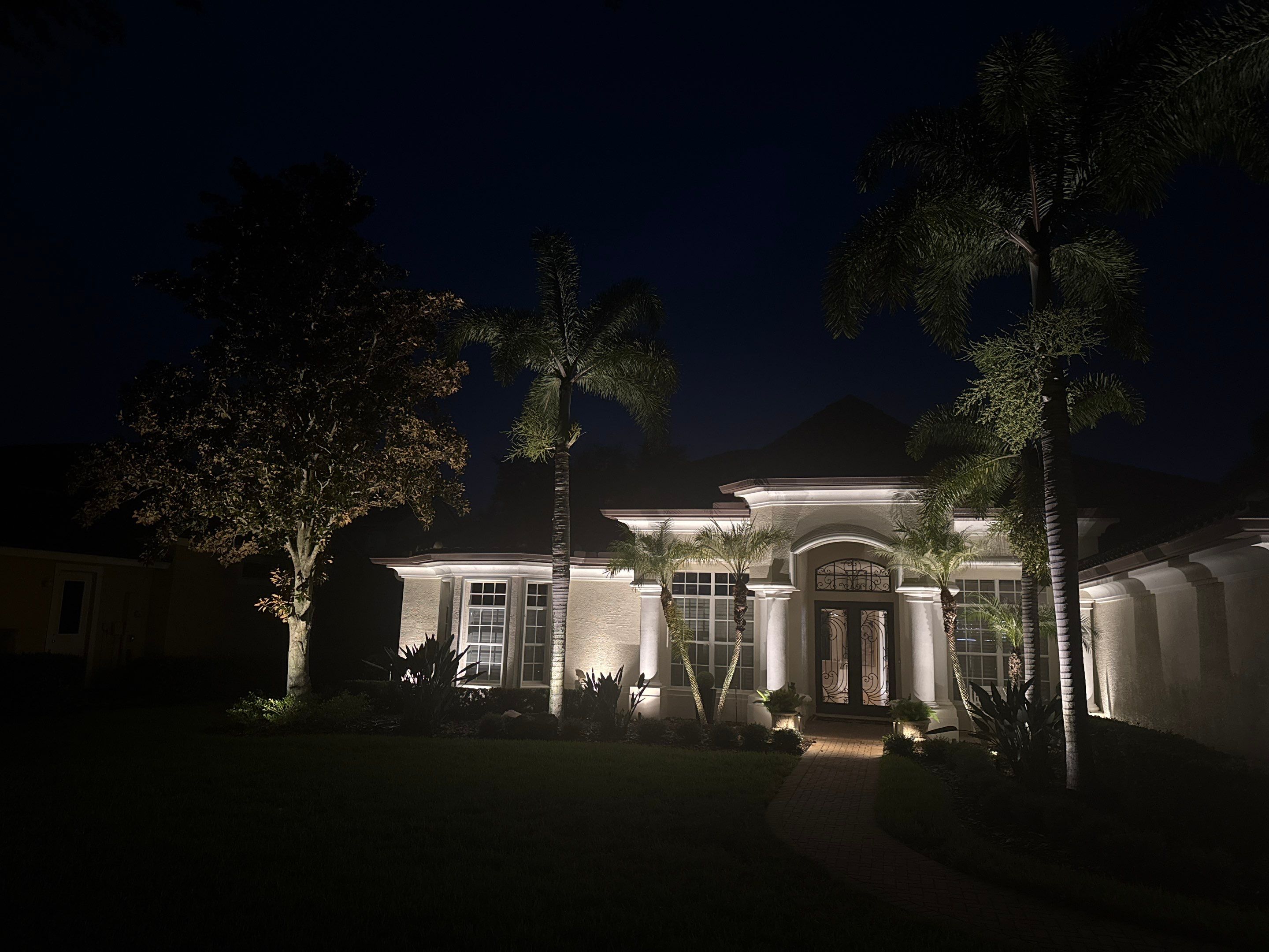 Architectural and Landscape Lighting Installation in Palm Harbor by Elegant Accents