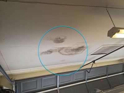 Project by Alvimar Roofing