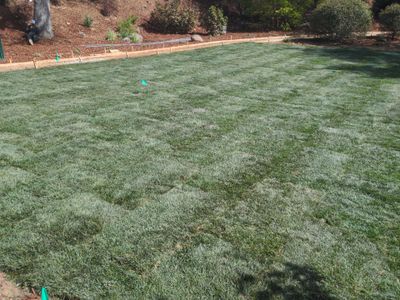 Project in Auburn