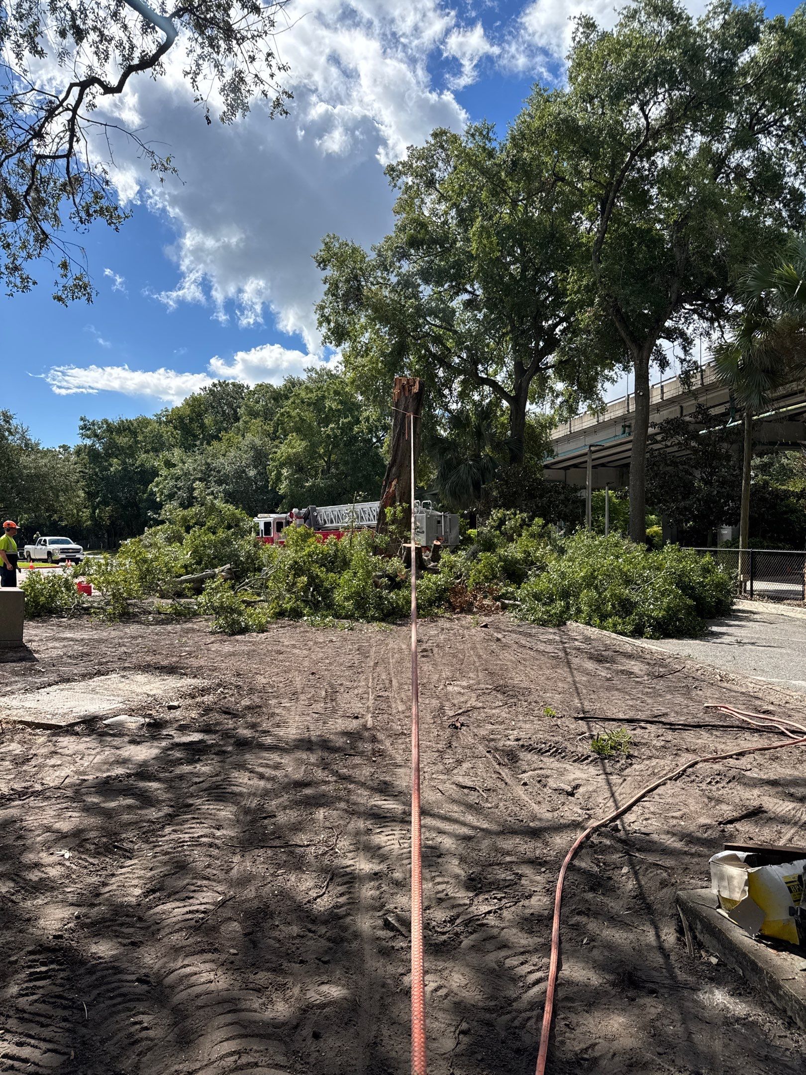 Welcome Center Tree Removal | Episcopal School of Jacksonville by ProGreen Services