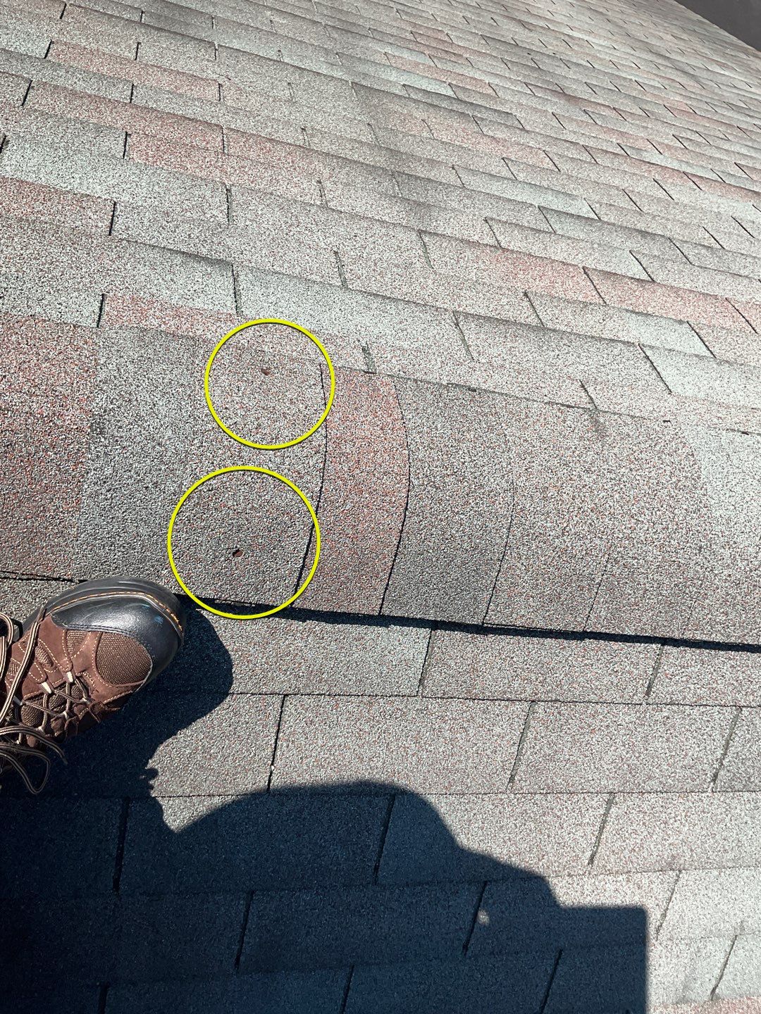 Residential Roofing Installation by Alpha Design Services