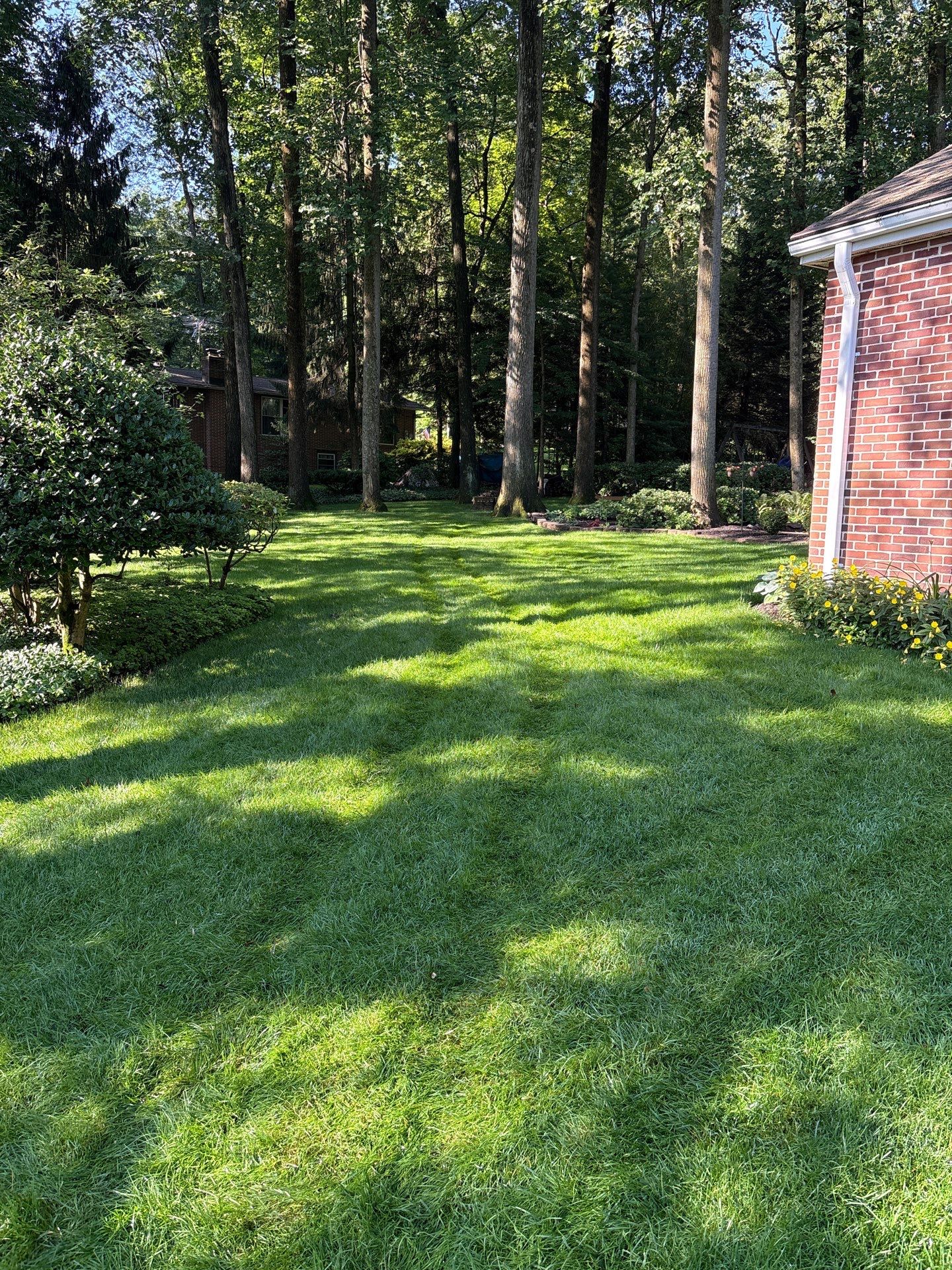 East York Pa by Go Green CLC