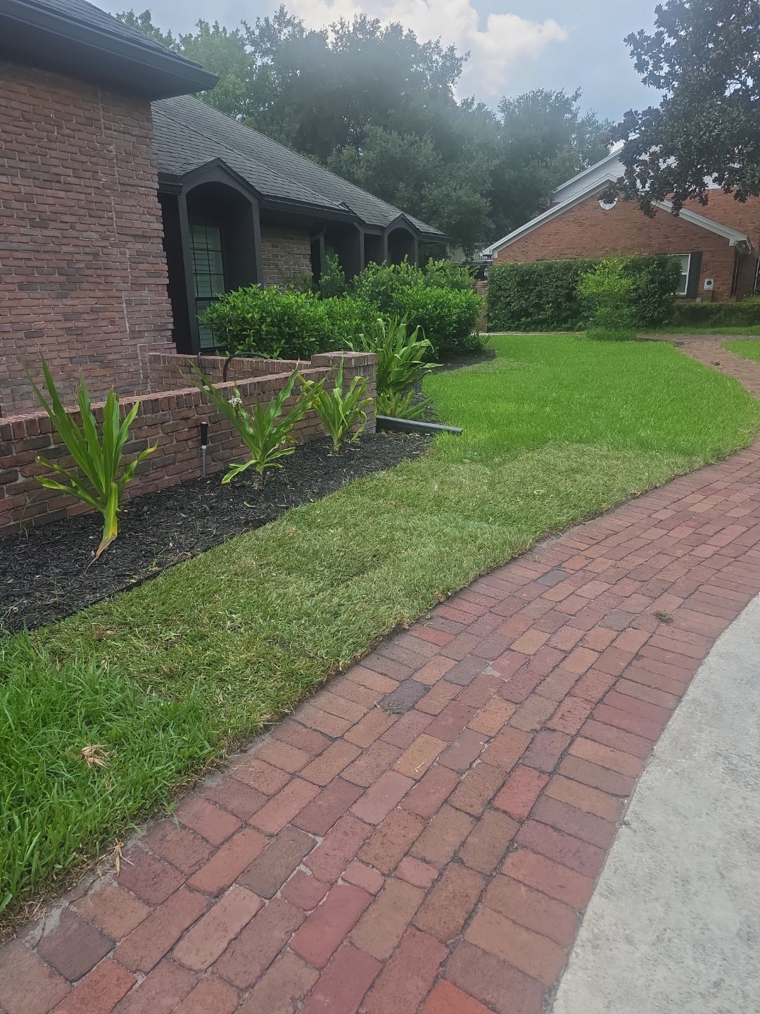 Deerwood Resident | Sod & Palm Replacement  by ProGreen Services