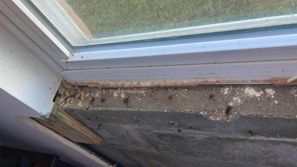 Project in Winter Haven by You Restorations LLC DBA YOU-Home