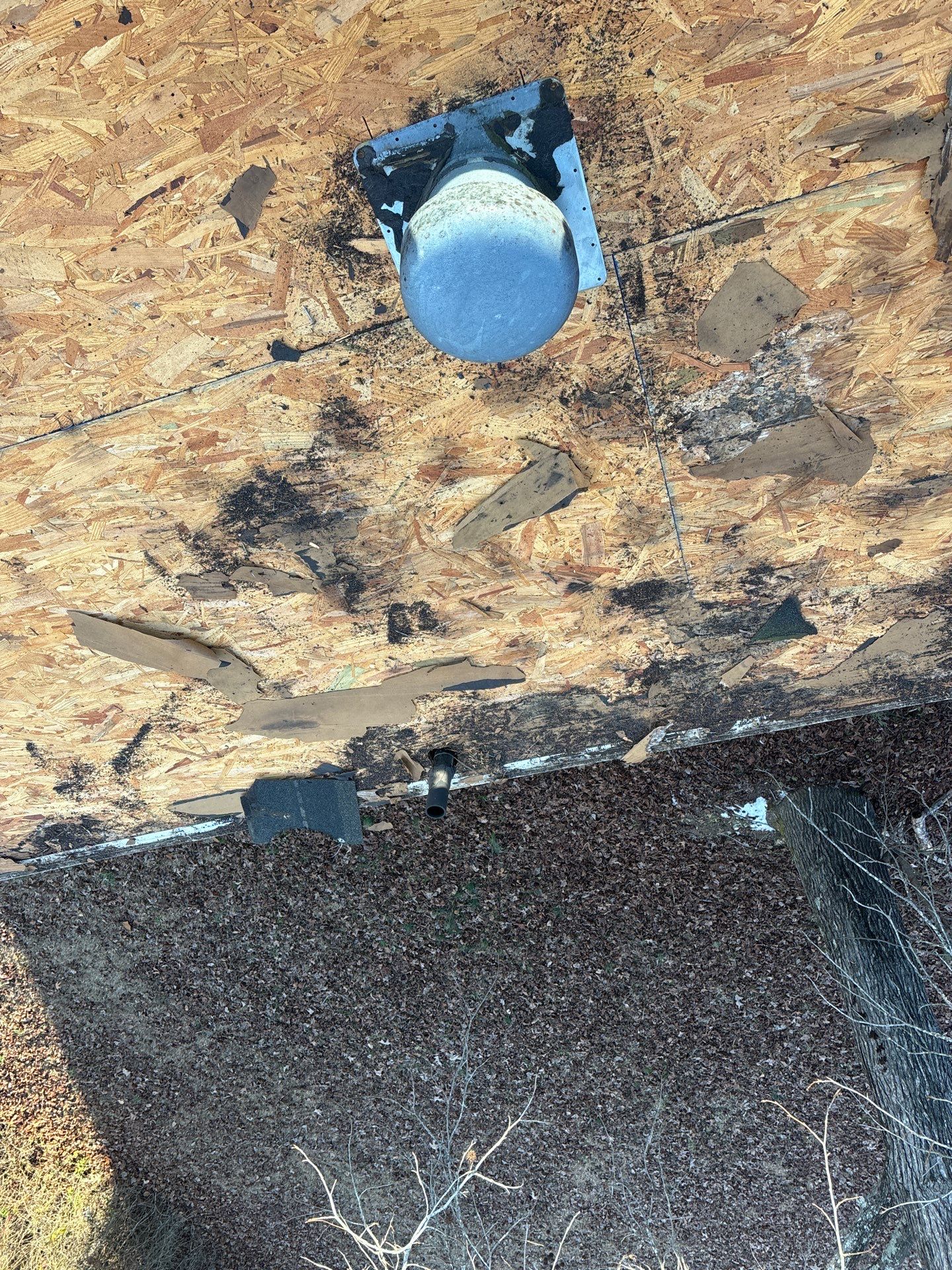 Roof Replacement in Waterloo, SC | New CertainTeed XT 25 Nickel Gray Shingles by Roofers LLC