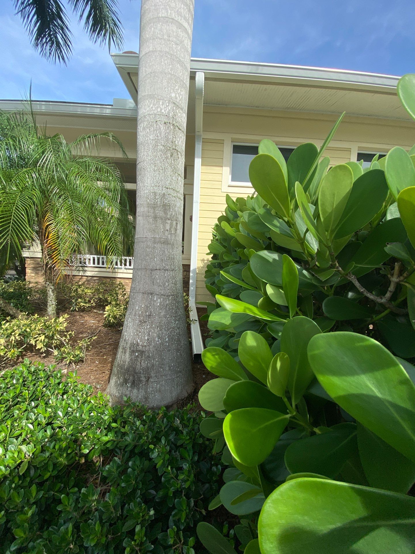 Storm-Ready Gutter System in Fort Myers FL by Gutter Professors