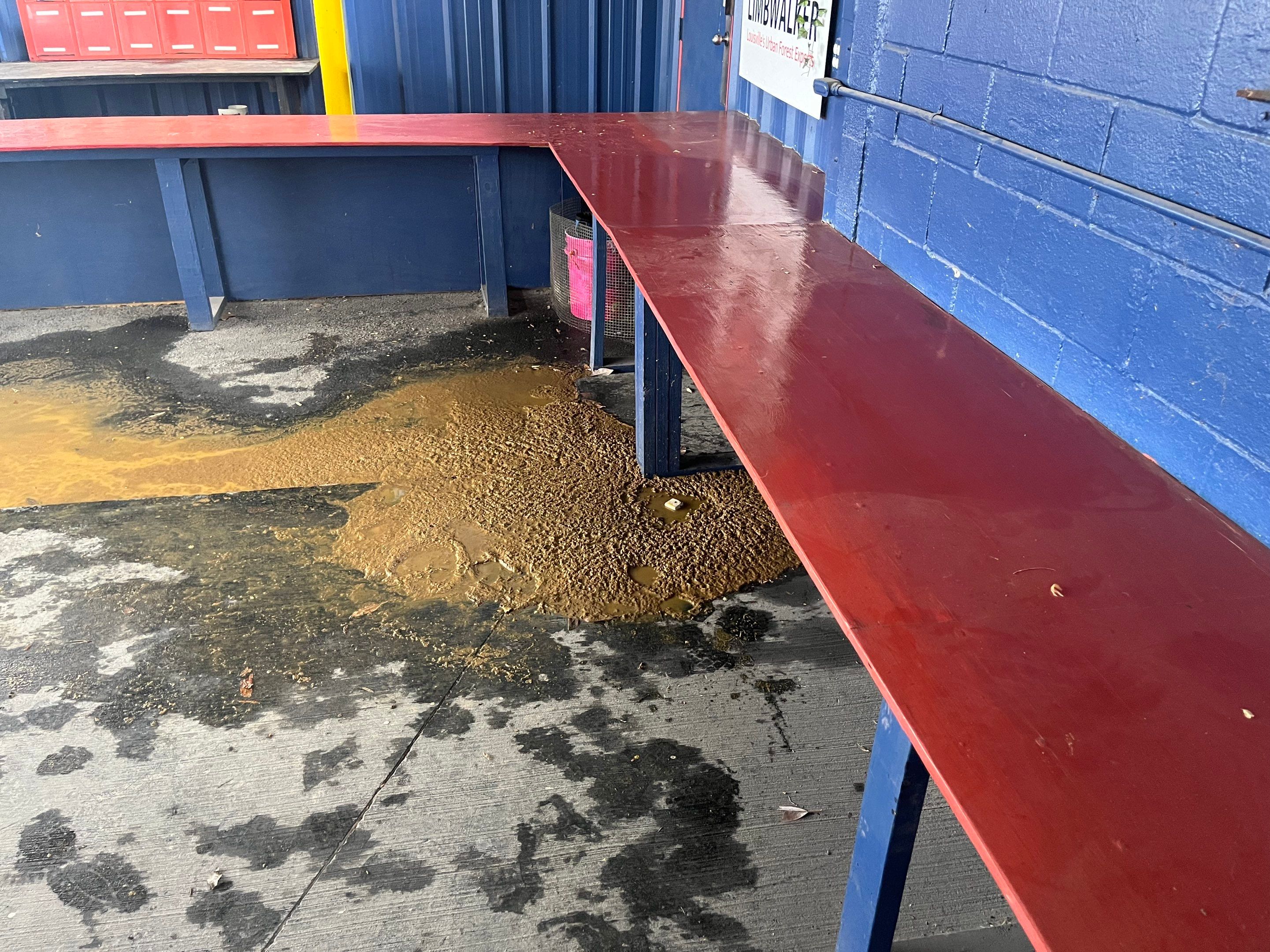 Commercial Sewage Damage in Louisville, KY by ANR Restoration