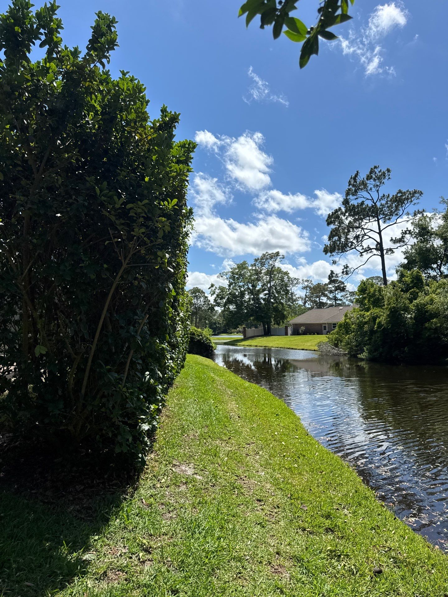 Deerwood Resident | Tree Trimming by ProGreen Services