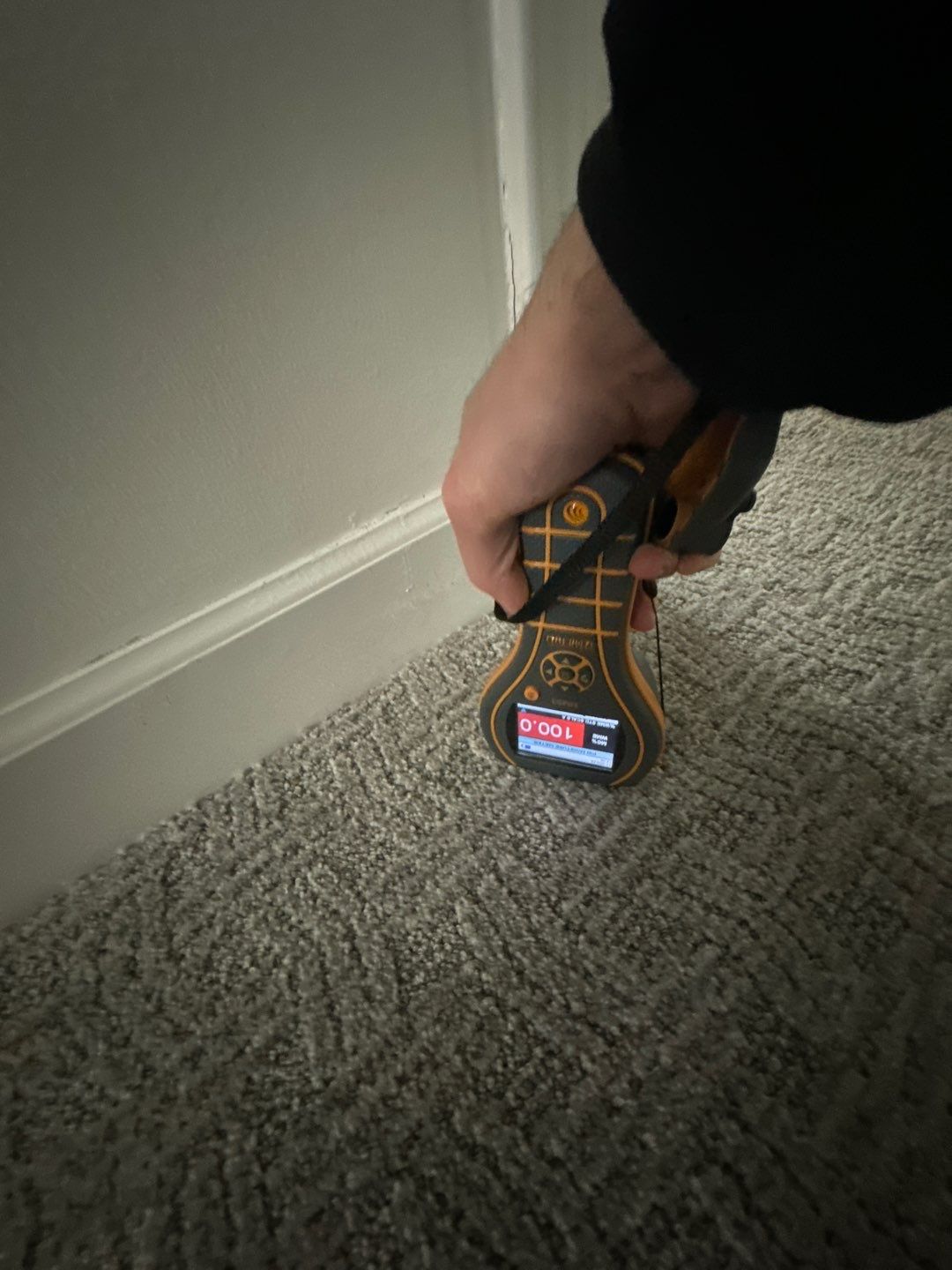 Project in Royal Oak by EzDry Water Mitigation & Property Restoration