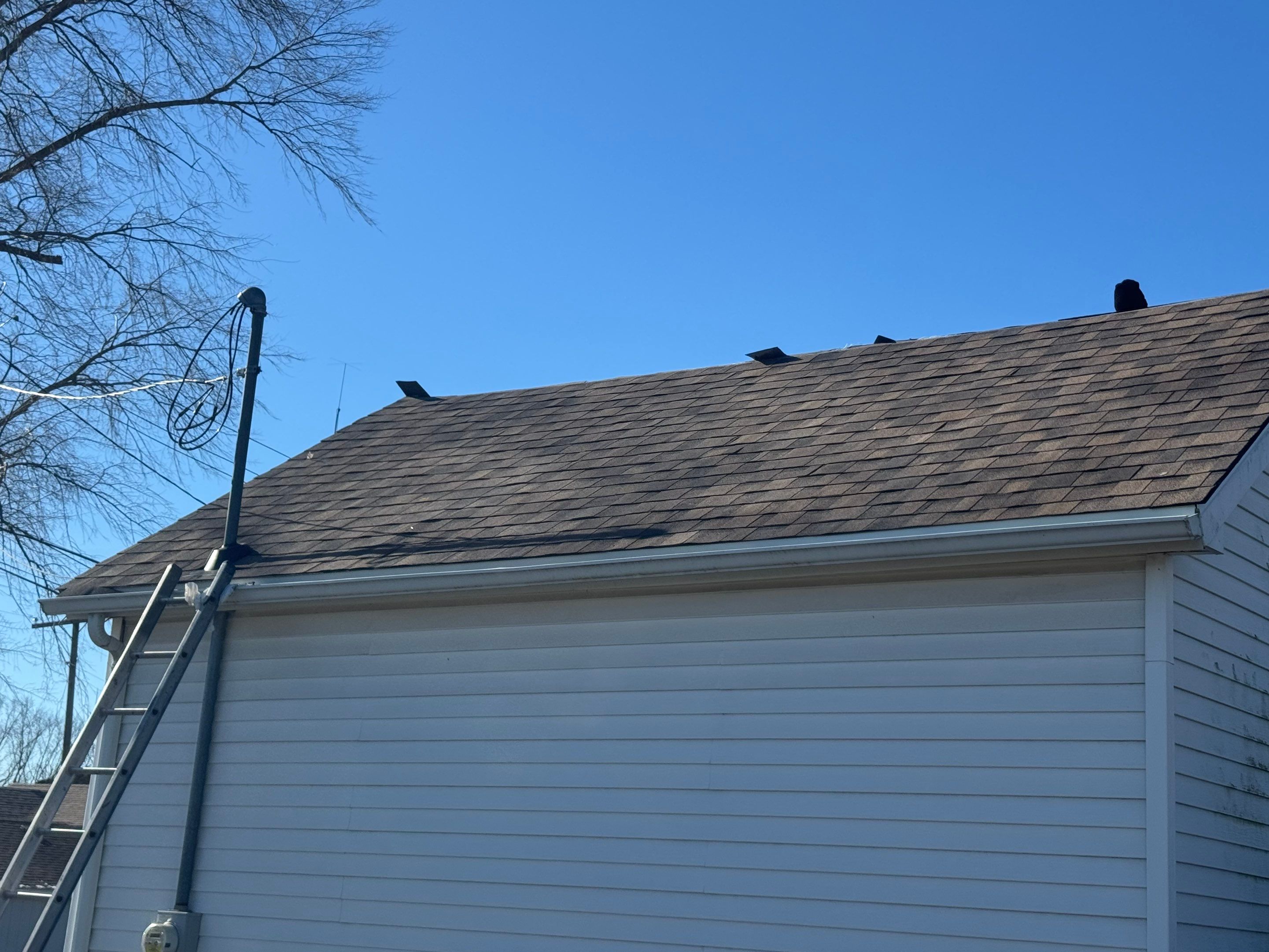 Sharkey Roof by Erie Home
