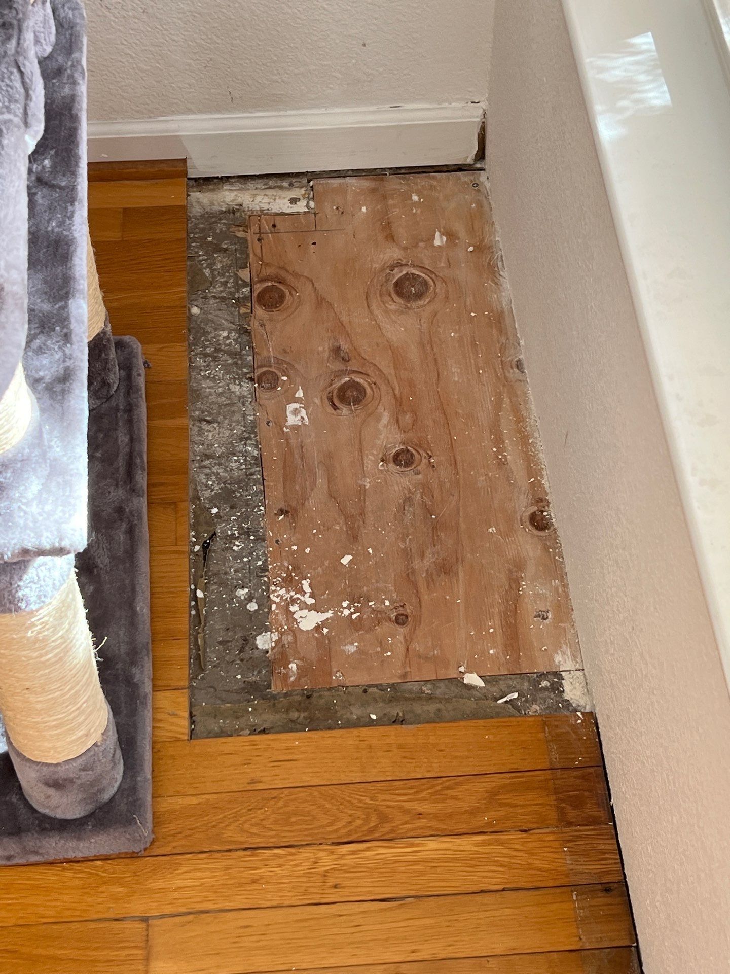 Project Showcase  by Elephant Floors Inc