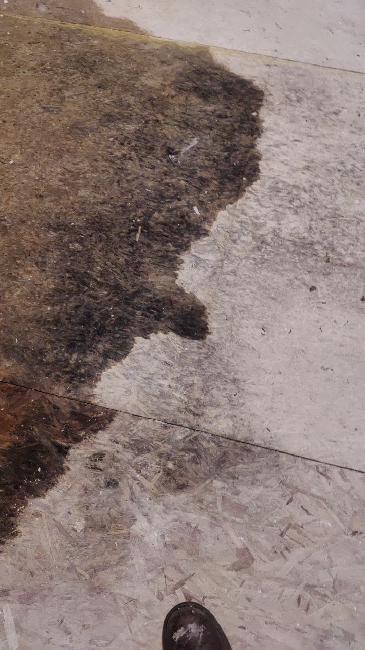 Water Damage Restoration by Accountable Home Services