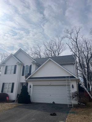 Project in Hampstead