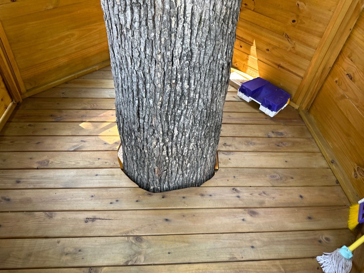 Concrete Driveway, Wood Playset using Wood Sealant and Concrete Sealant by DuraSeal
