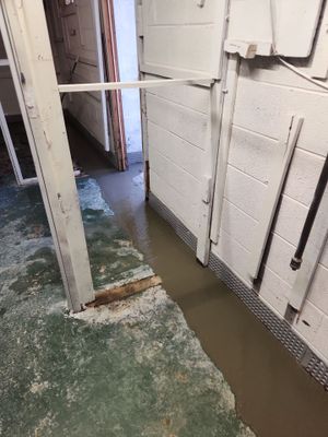 Interior French Drain & Mold Remediation Project in Manville, New Jersey