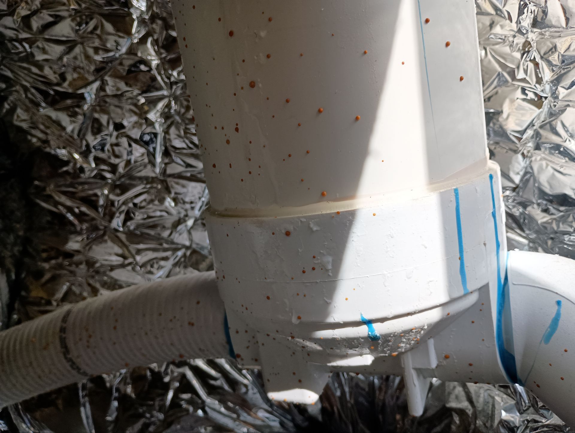 Project in Vista by Action Spa Repair LLC