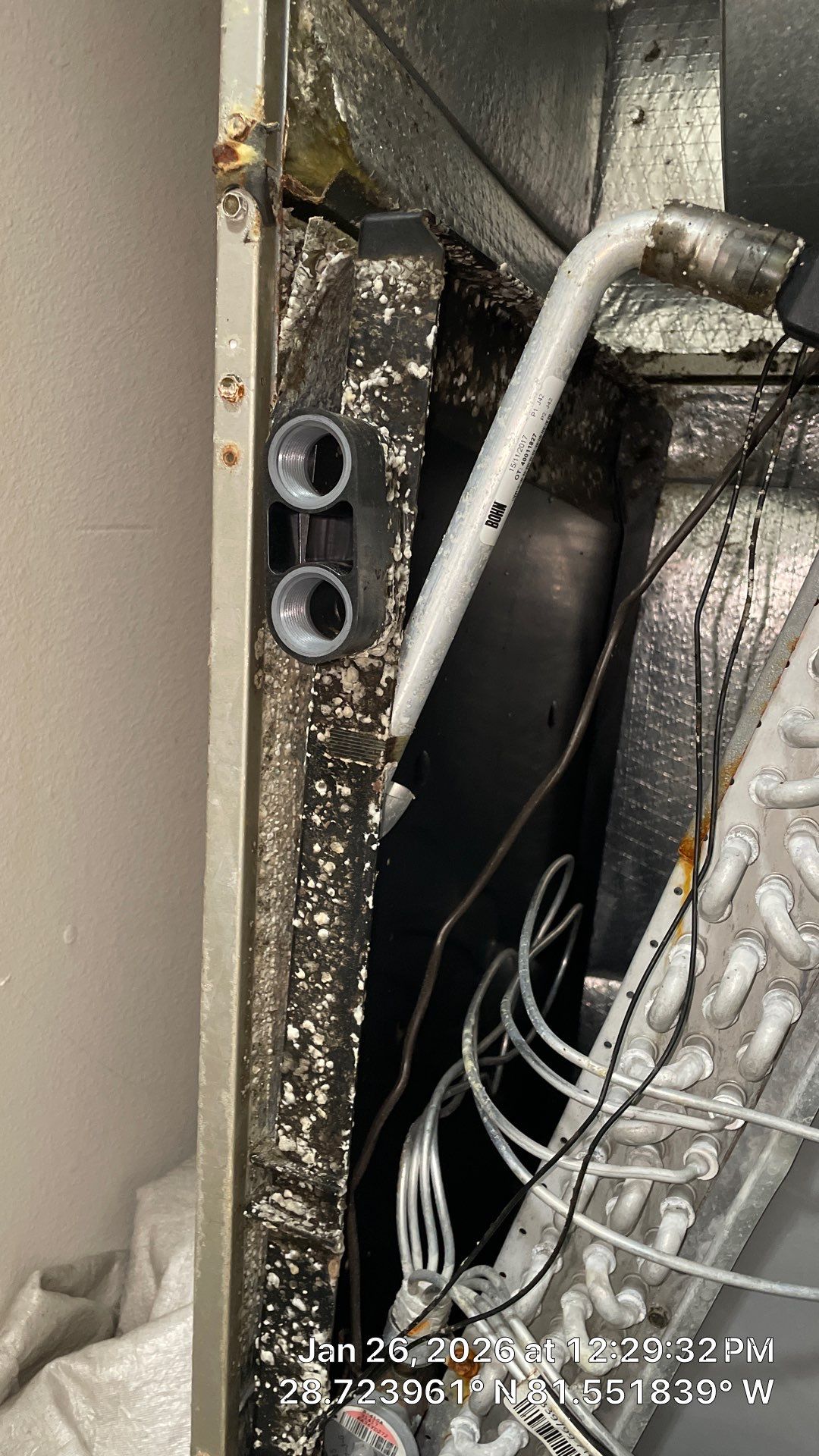 Air Duct Cleaning in Apopka by Hygienic Air, Inc