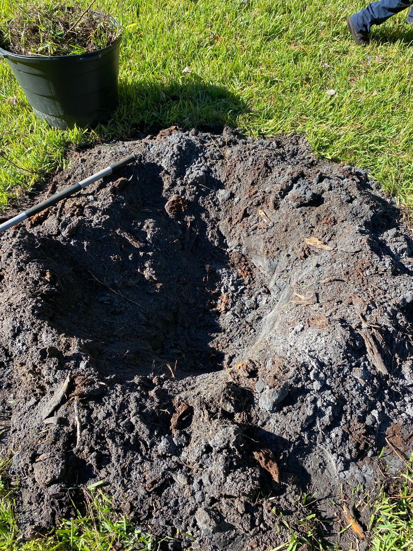 Deerwood Community | Oak Tree Replacement Project by ProGreen Services