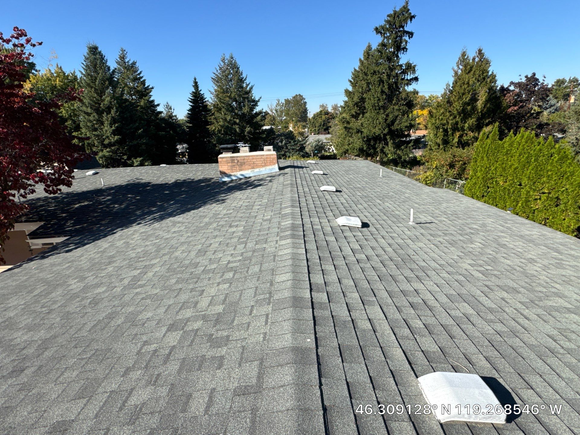 Full Residential Roof Replacement and Sheathing Repair in Richland by Alpine Roofing