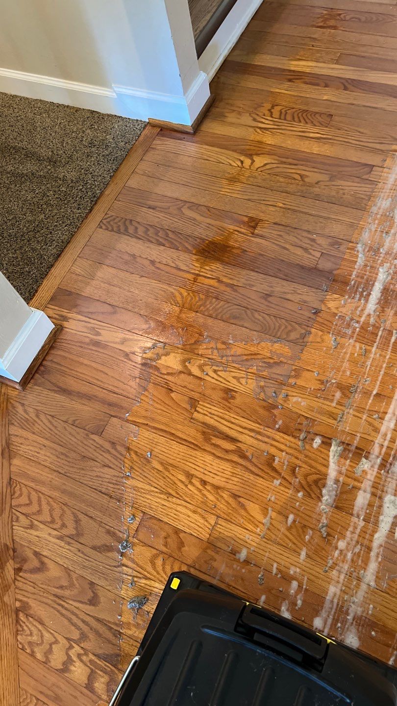 Hardwood Renewal  using Finish Em by Monster Clean