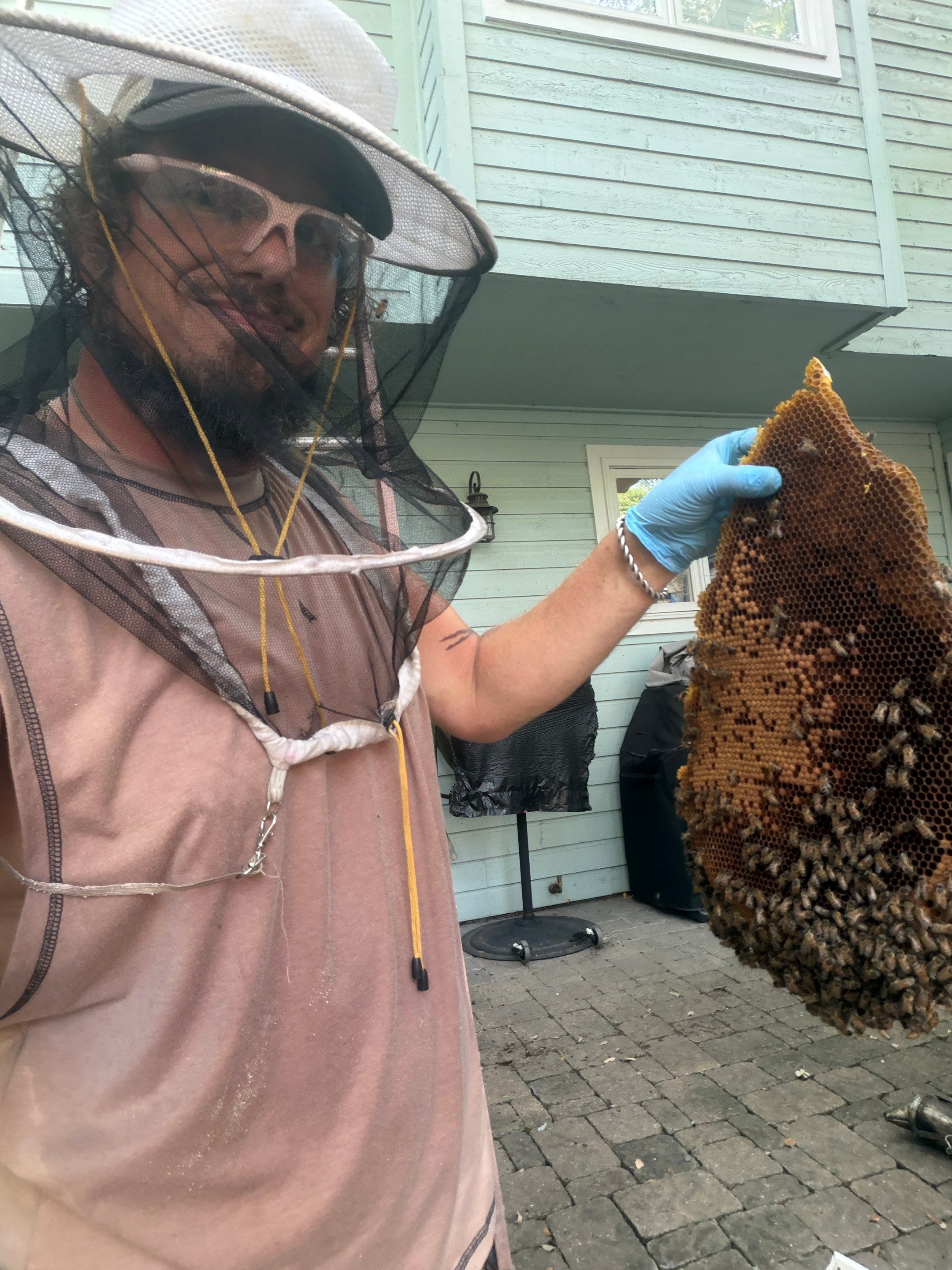 High Peak Bees by Rockwall Honey Bee Company