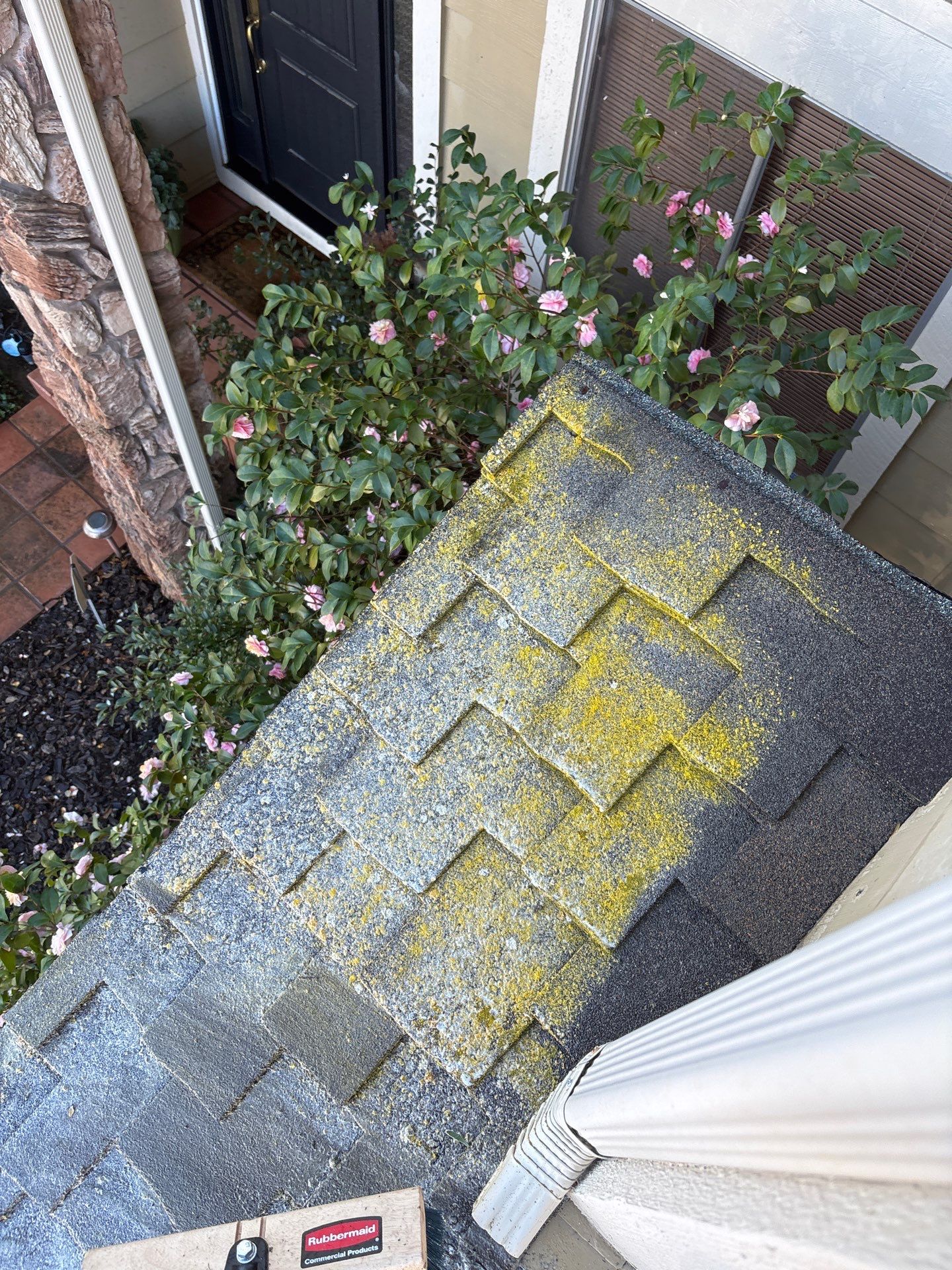 Moss Removal by Top Elevation