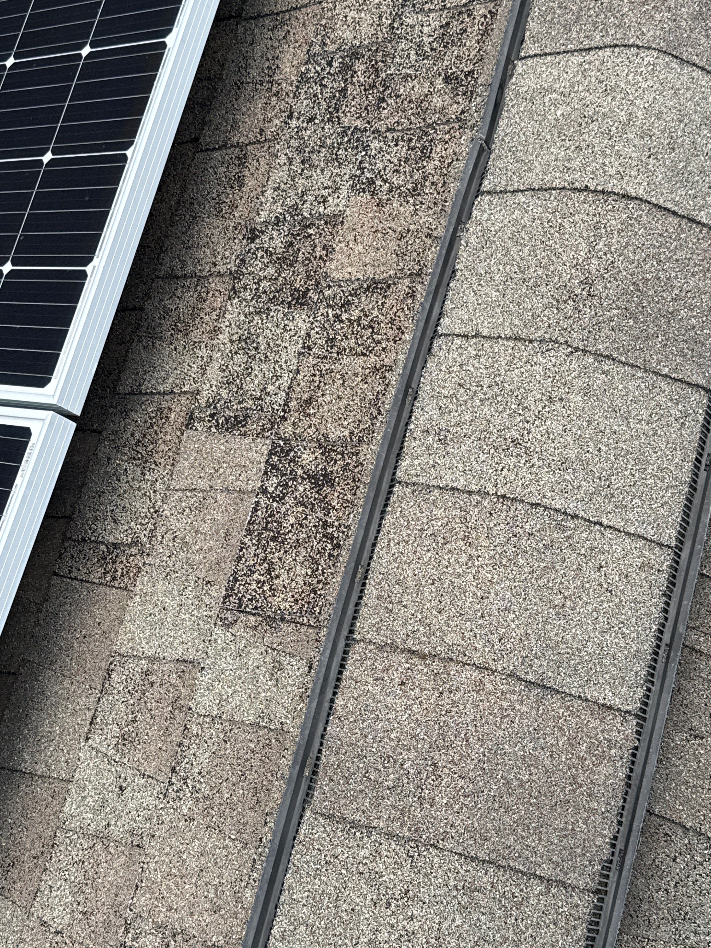 Residential Roof Rejuvenation and Solar Panel Cleaning in Etowah by Bright Home Connections