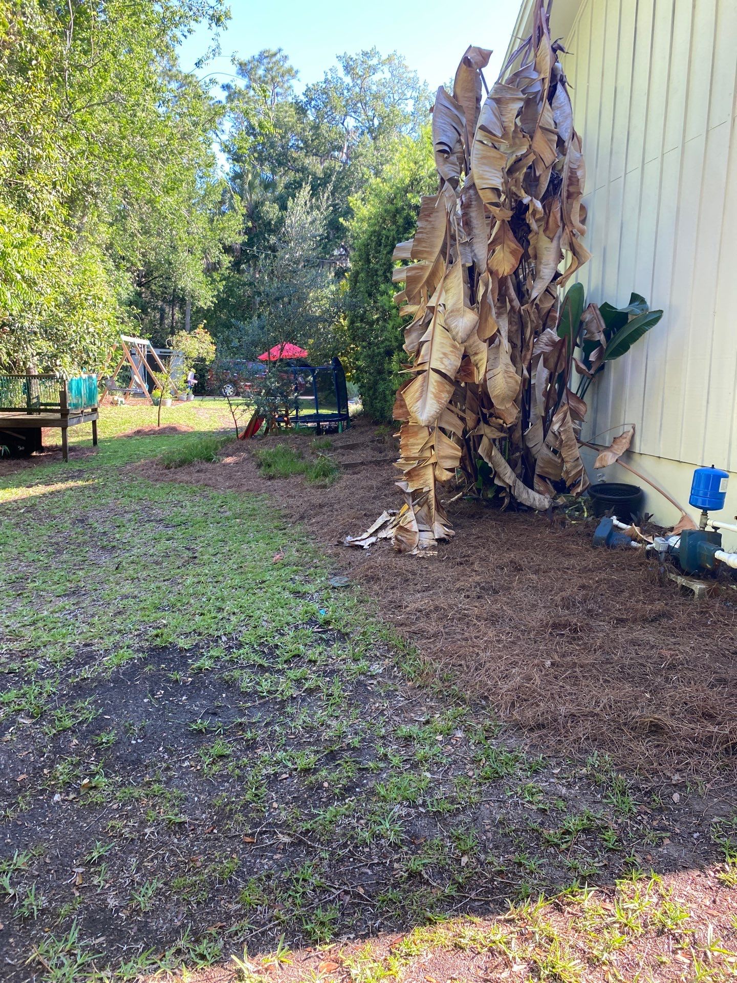 Deerwood Resident | Pine Straw & Topsoil Install by ProGreen Services