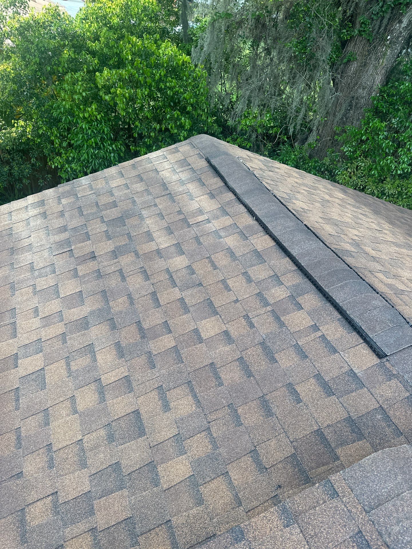 Shingle Reroof Replacement Orange City FL by Pinnacle Roofing Group