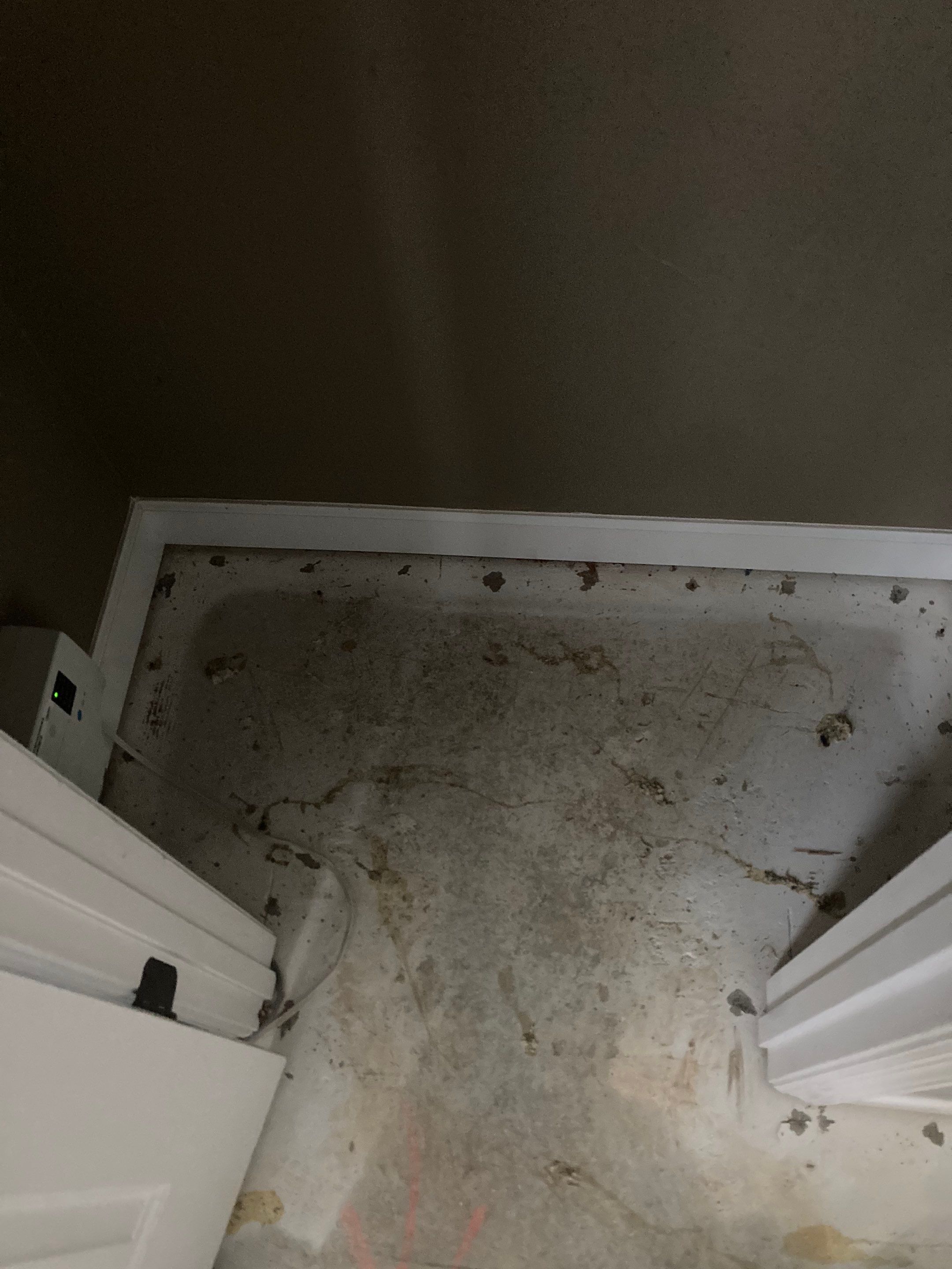 Engineered Hardwood Install by Footprints Floors of Nashville