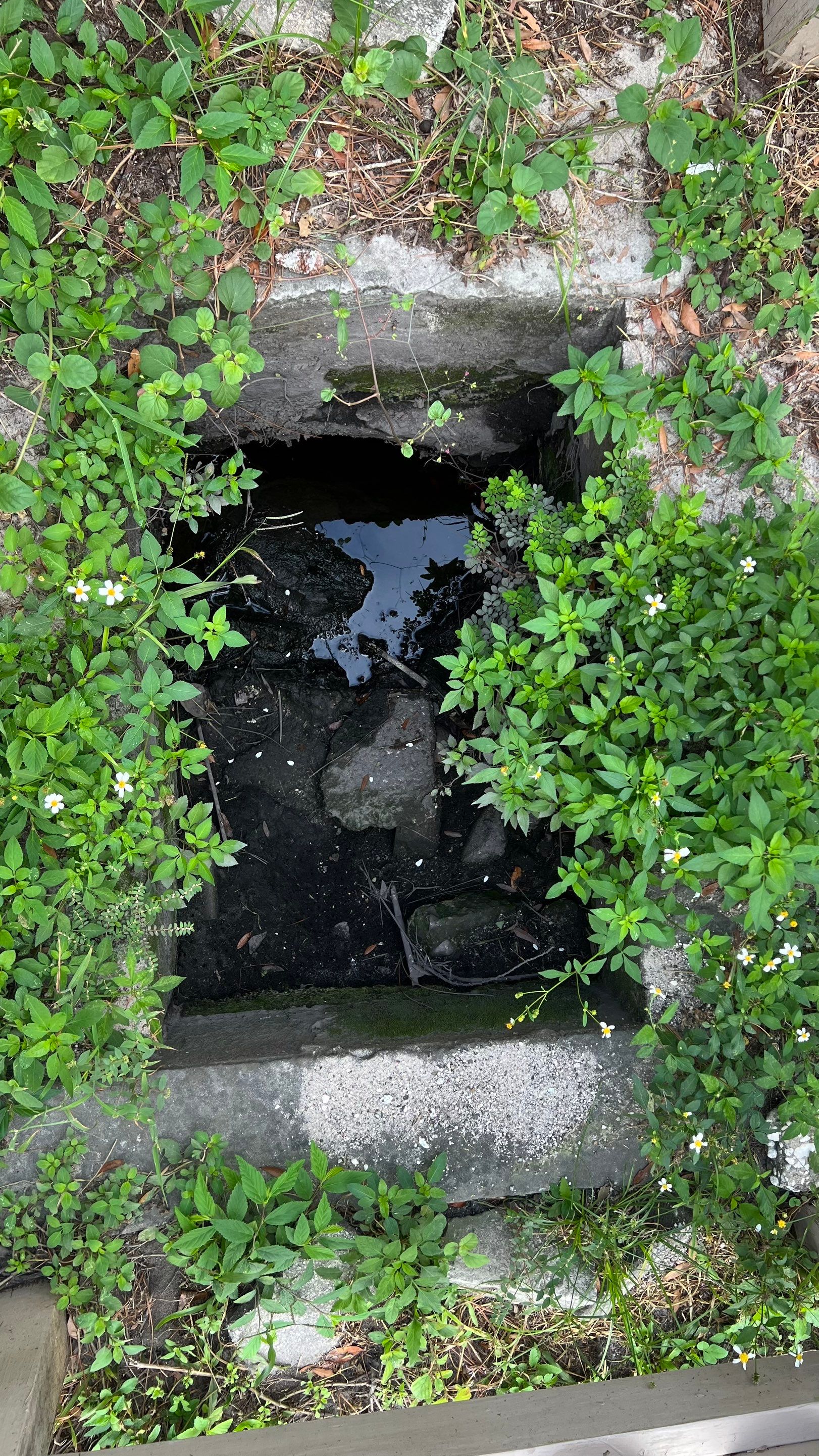 Apartment Complex Storm Water System Cleaning and Maintenance by APS Power & Water
