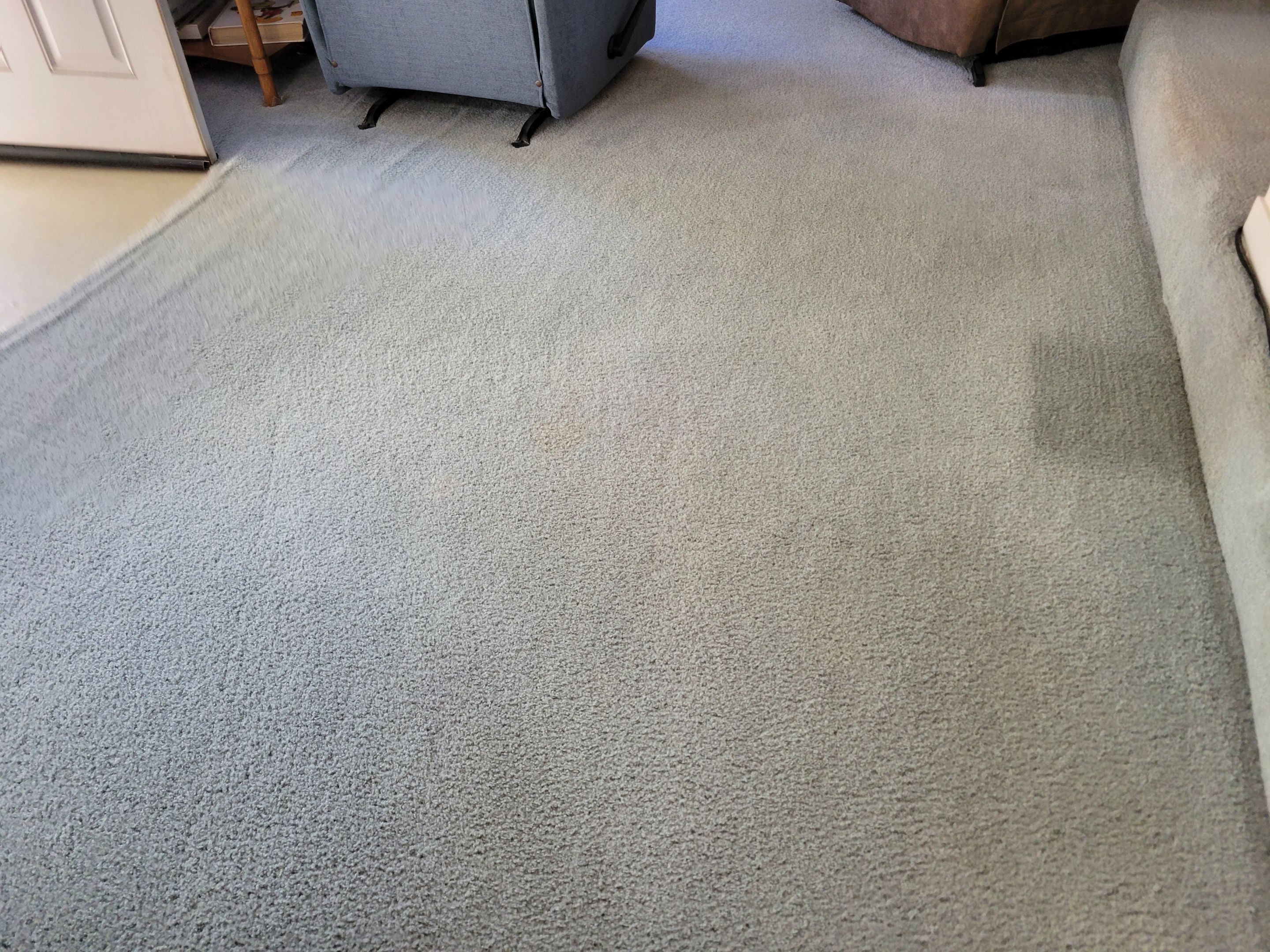 Overdue, Much Needed Carpet Clean by Ardent Carpet Restore LLC