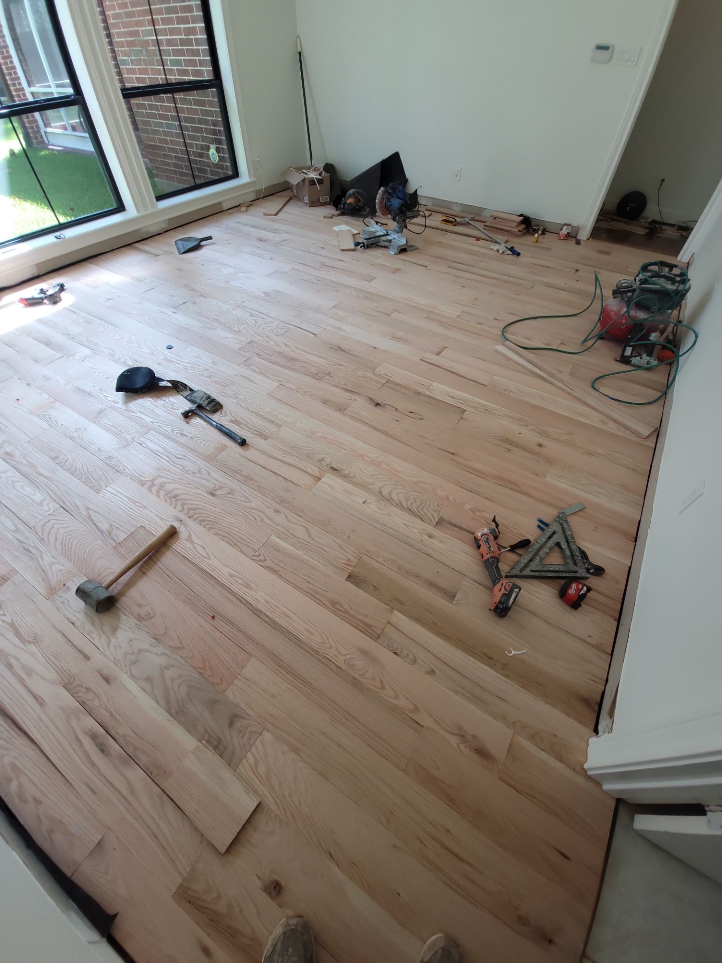 The Napolitano Family by SophAlx LLC