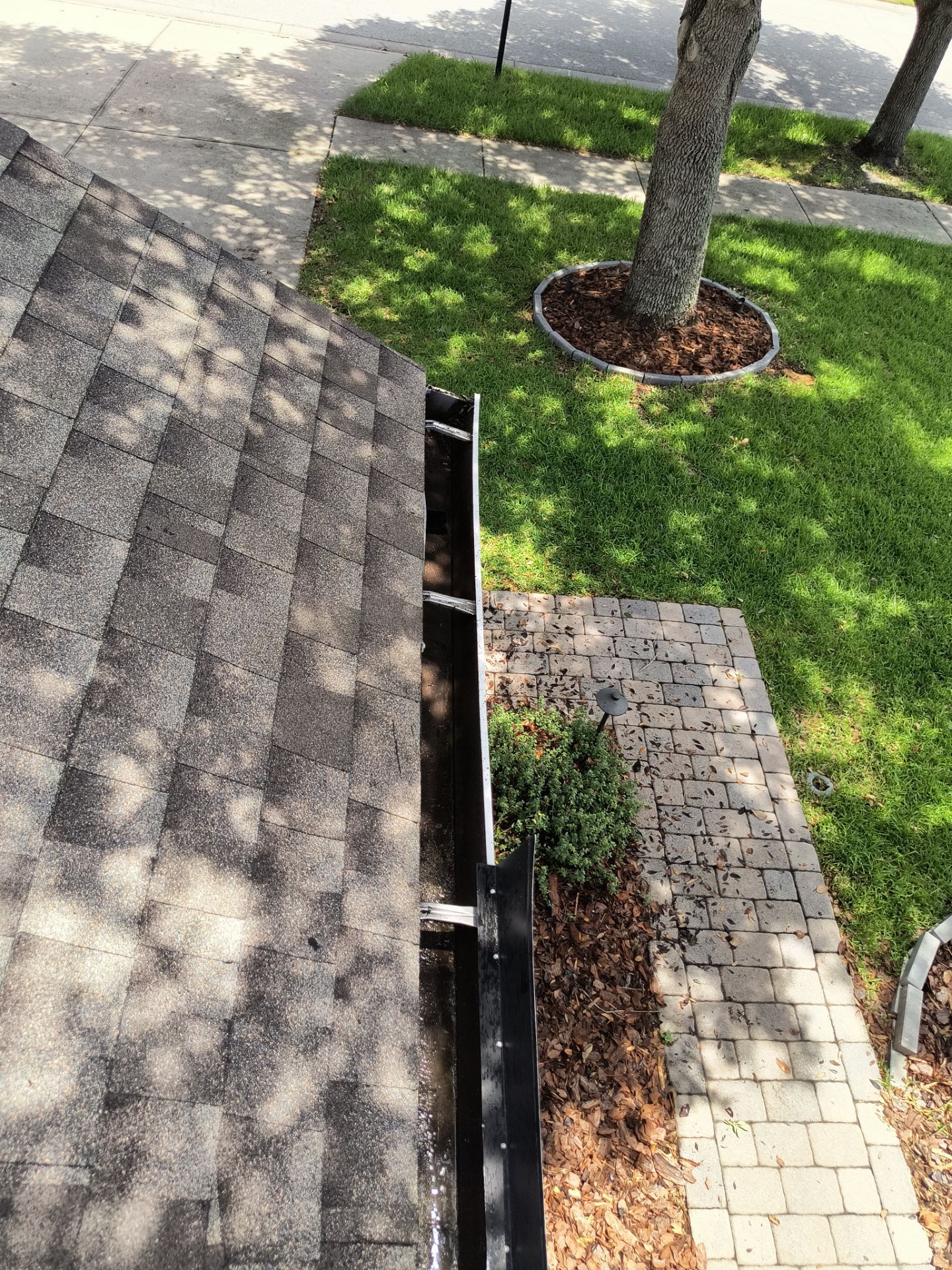 Professional Gutter Cleaning in Lutz FL by Gutter Professors