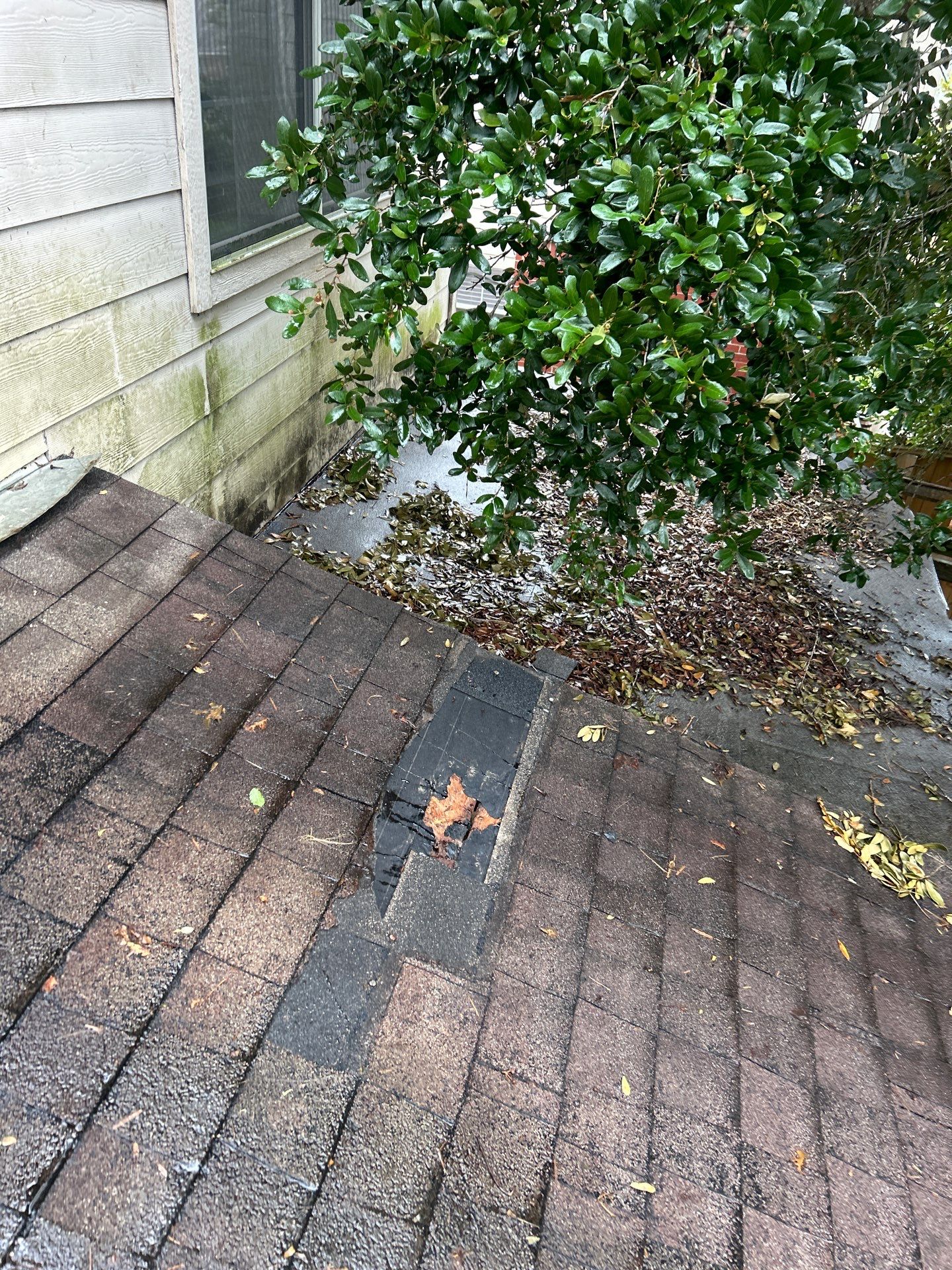 Residential Roofing Repair using Owen's Corning Duration (Lifetime) Shingles by Roof Repair Company