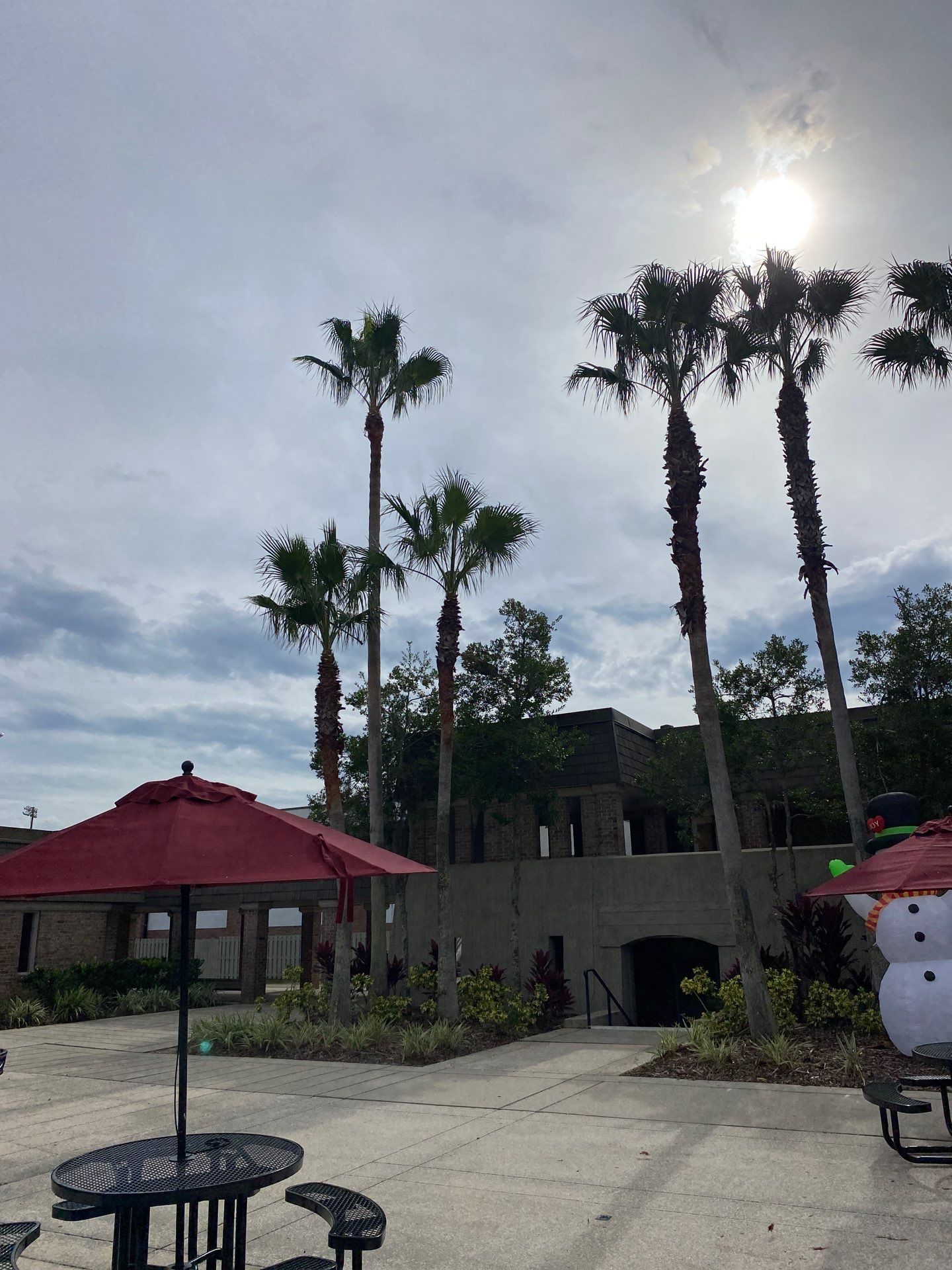 Volunteer Work | Episcopal High School of Jacksonville by ProGreen Services