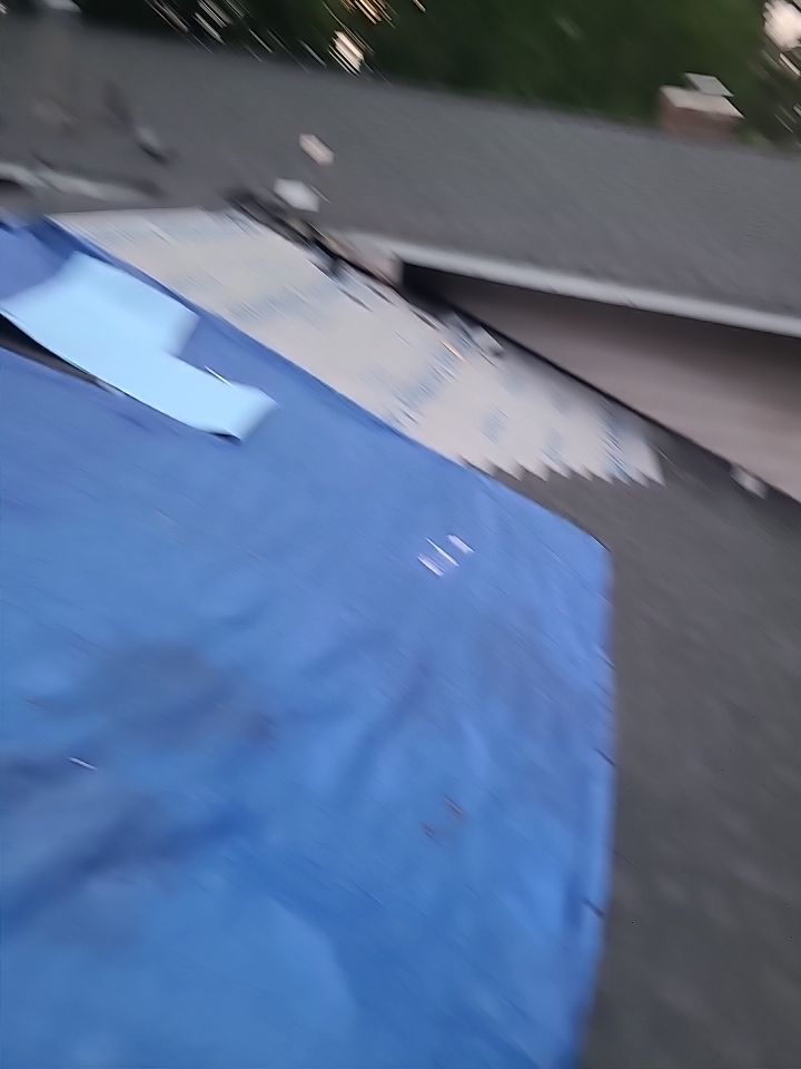 Vienna: CertainTeed Landmark Pro Architectural Shingles in Max Def Pewterwood by RM Banning, Inc.