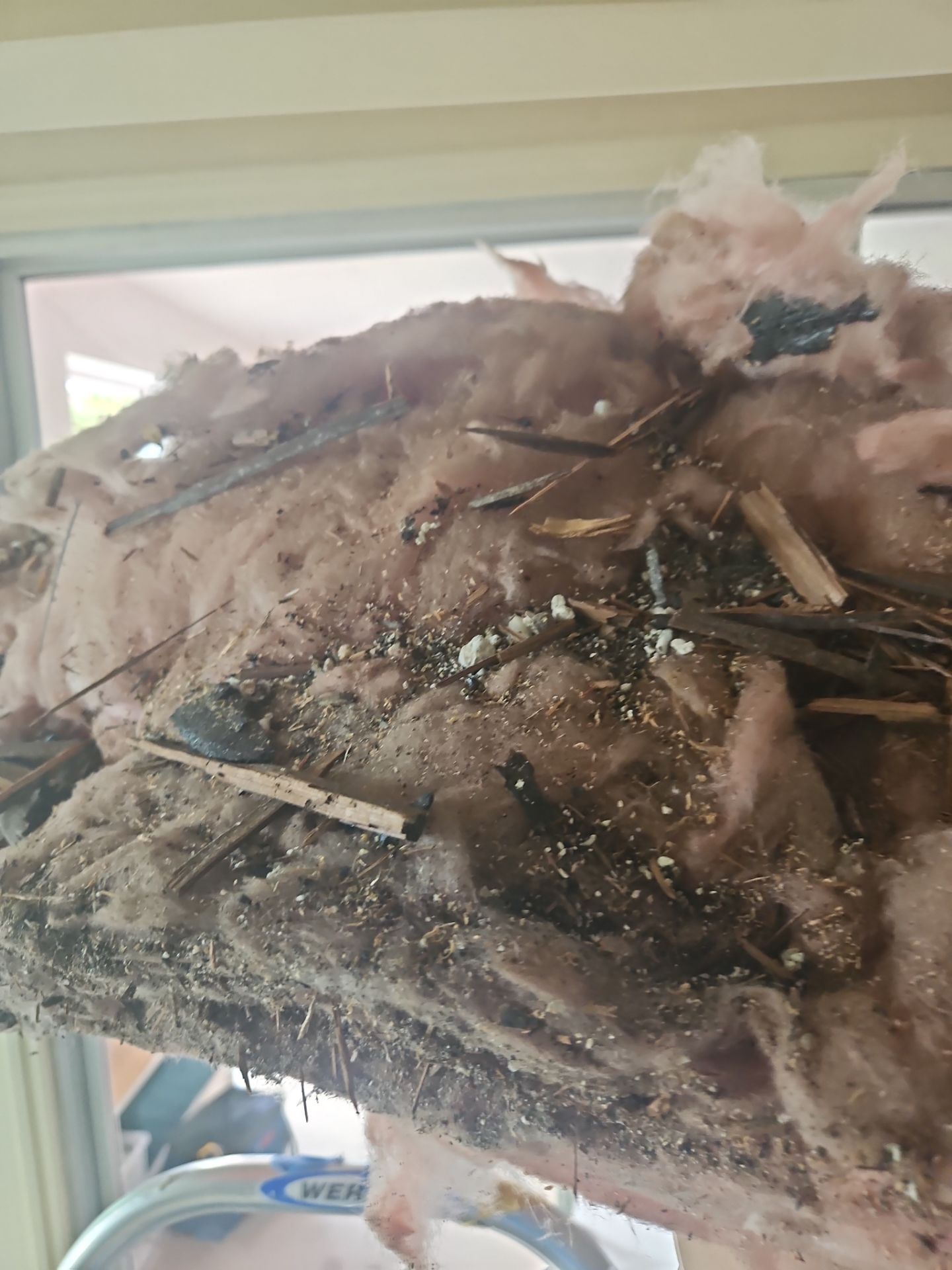Water Damage Repair In Bradenton, FL by Ampm Restoration Services