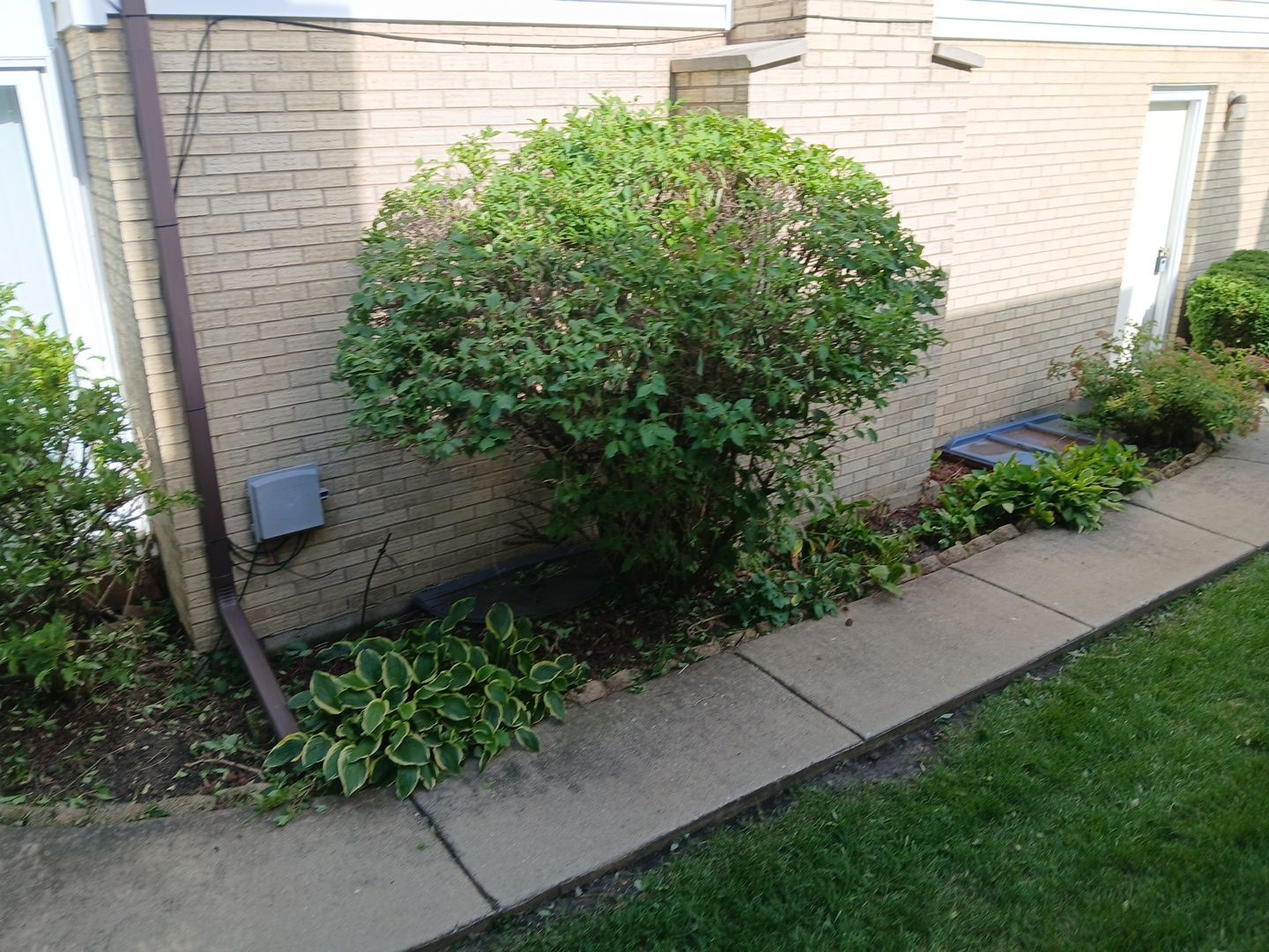 Andrew L. - Arlington Heights, IL by A&N