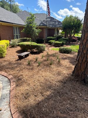 Deerwood Resident | Pine Straw Install