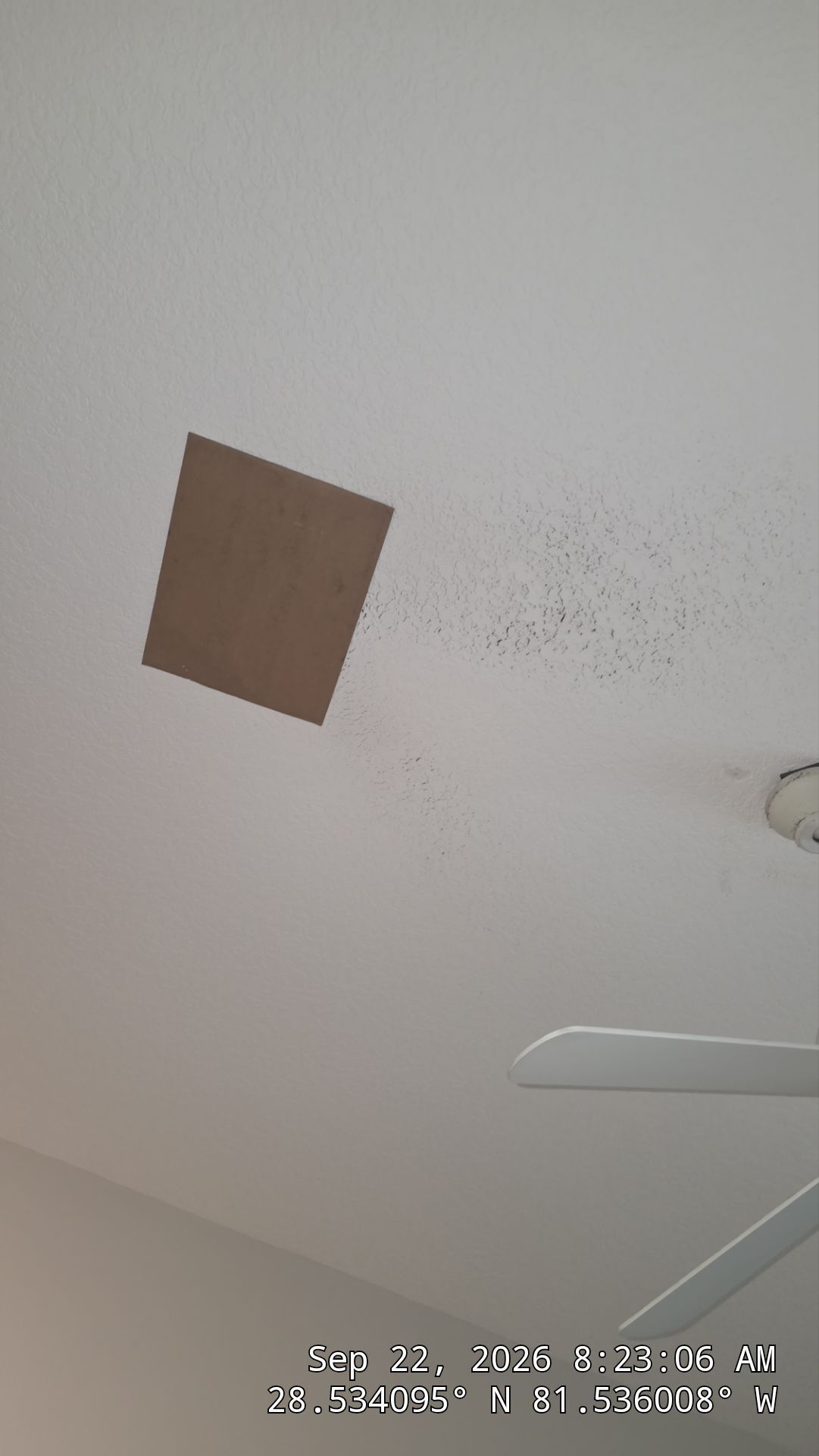 Air Duct Cleaning & Access Restoration in Ocoee by Hygienic Air, Inc