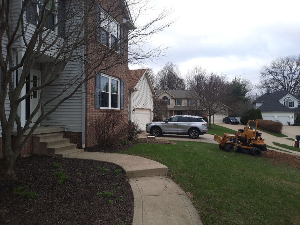 Tree Removal using Tree Removal by Mike Jones & Sons Tree Service LLC 