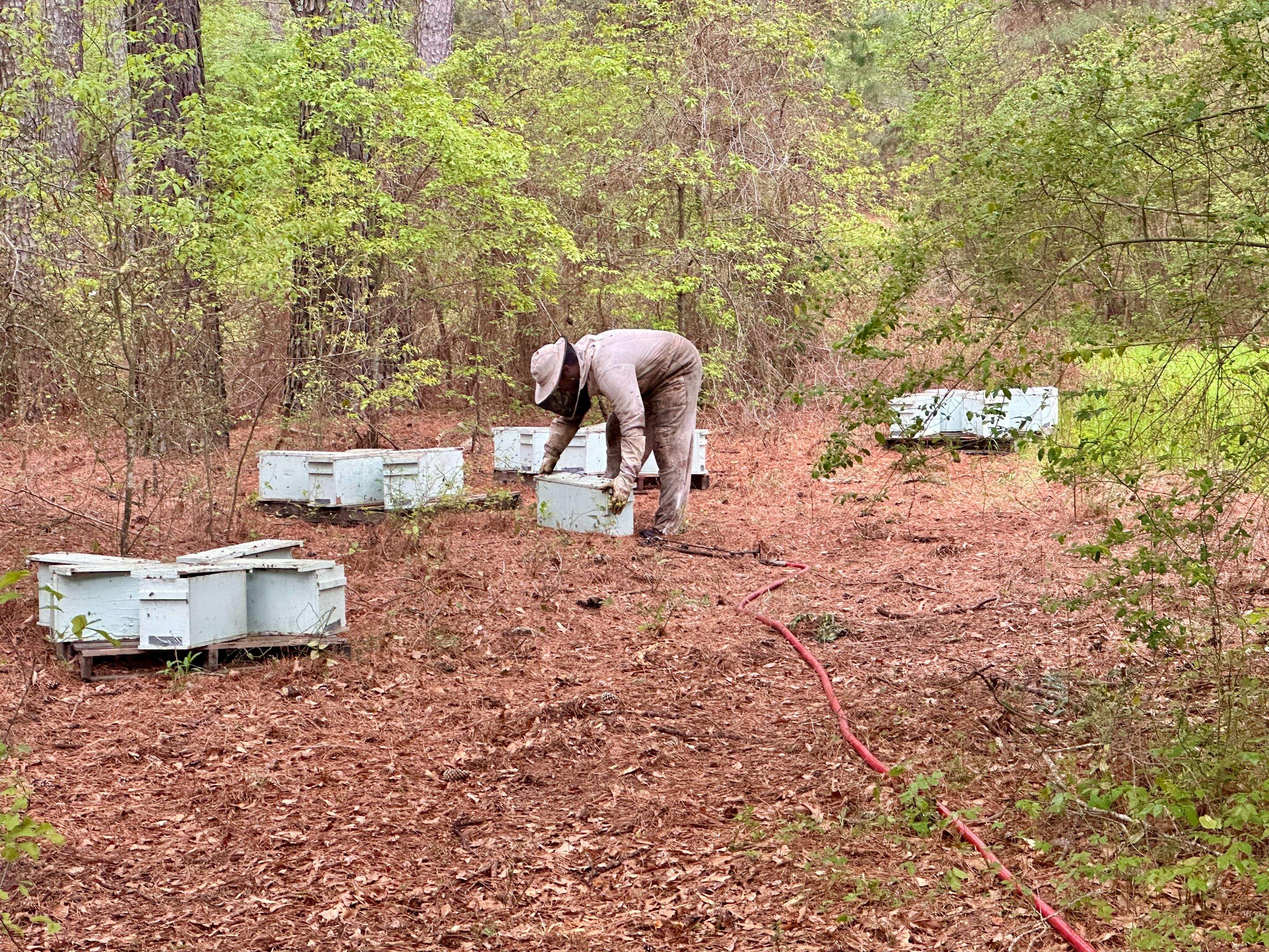 Tree Farm Apiary by Rockwall Honey Bee Company