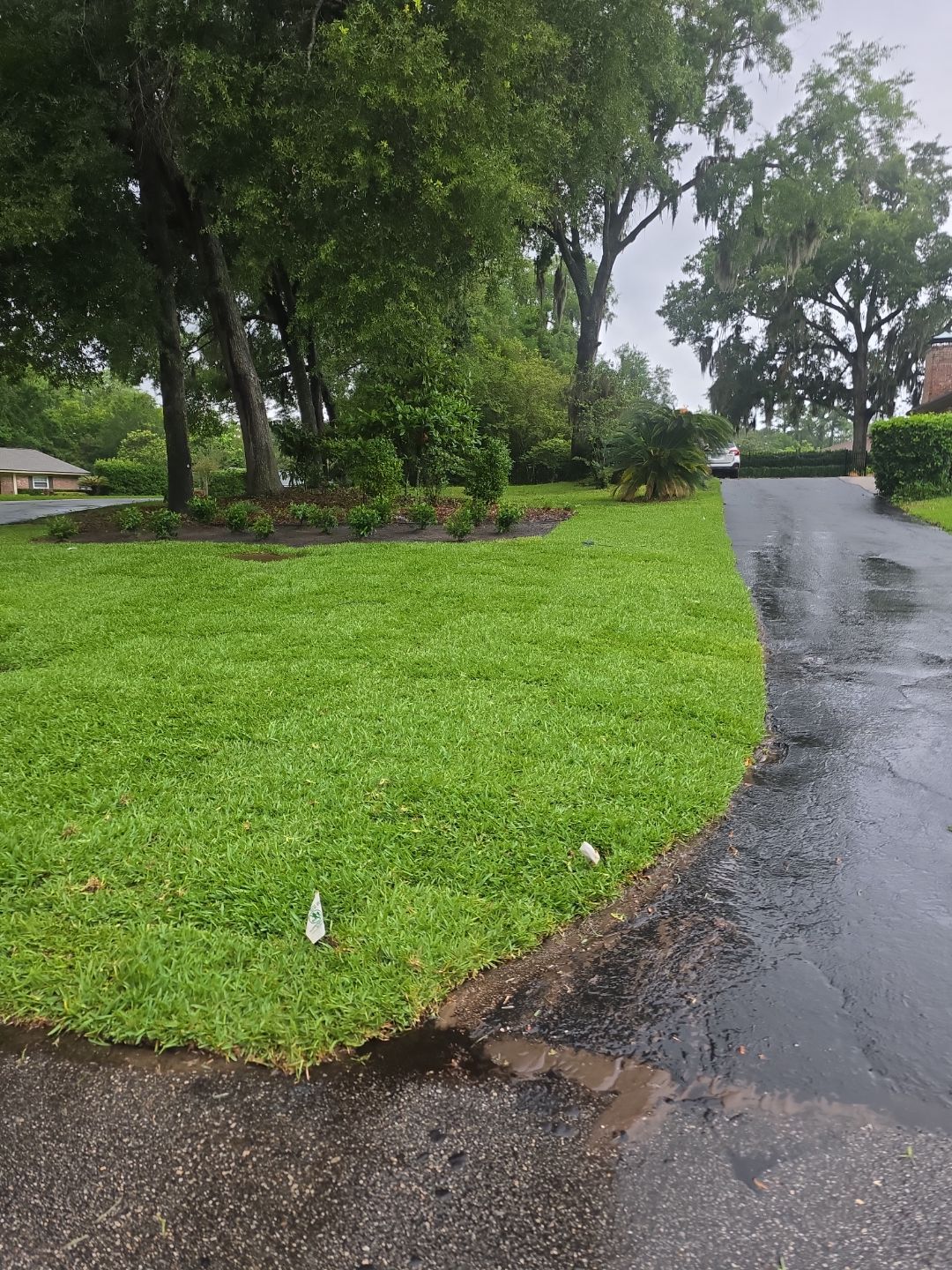 Deerwood Resident | Sod & Plant Install by ProGreen Services
