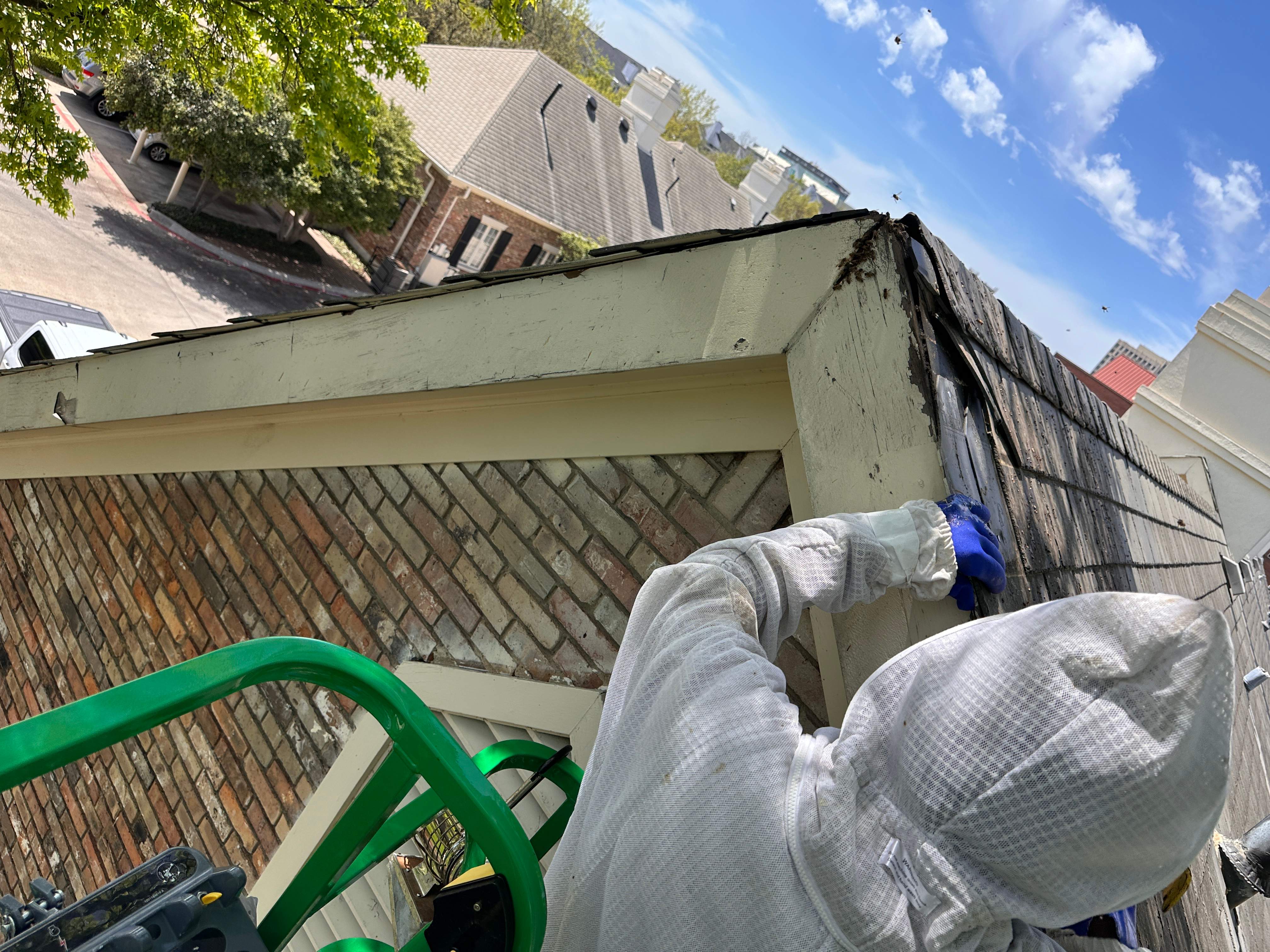 Commercial Roof by Rockwall Honey Bee Company