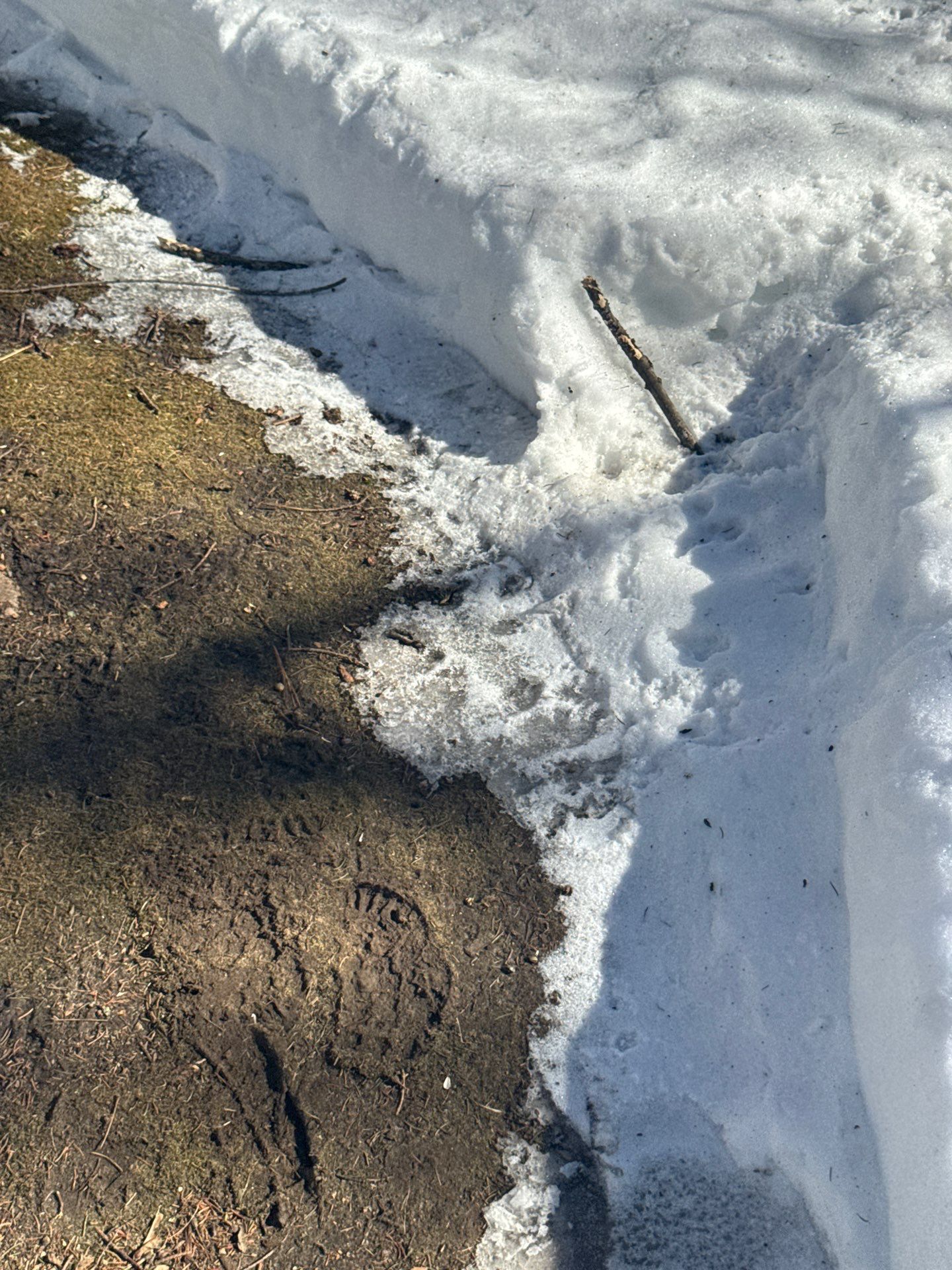 Snow/Ice Belt & Ice Dam Removal Project in Woburn by Mighty Dog Roofing of Greater Middlesex County